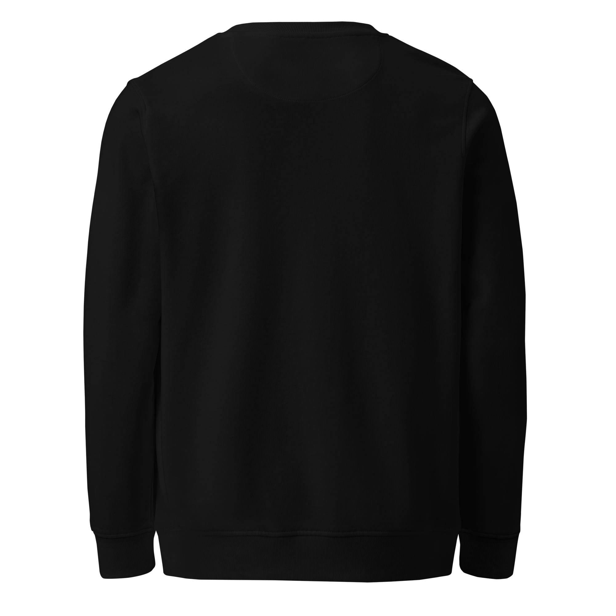 unisex-organic-sweatshirt-black-back-6a7713420611f.png