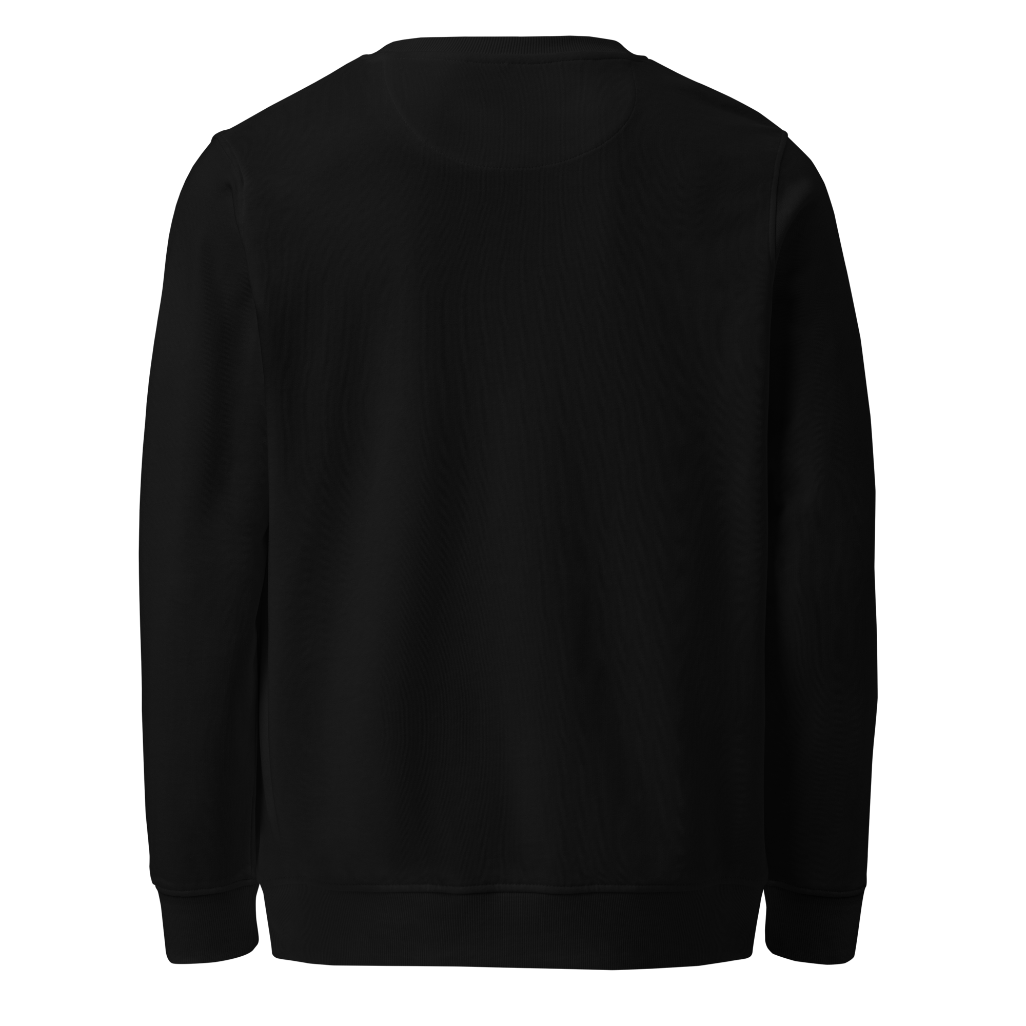 unisex-organic-sweatshirt-black-back-6a60e99024d1d.png