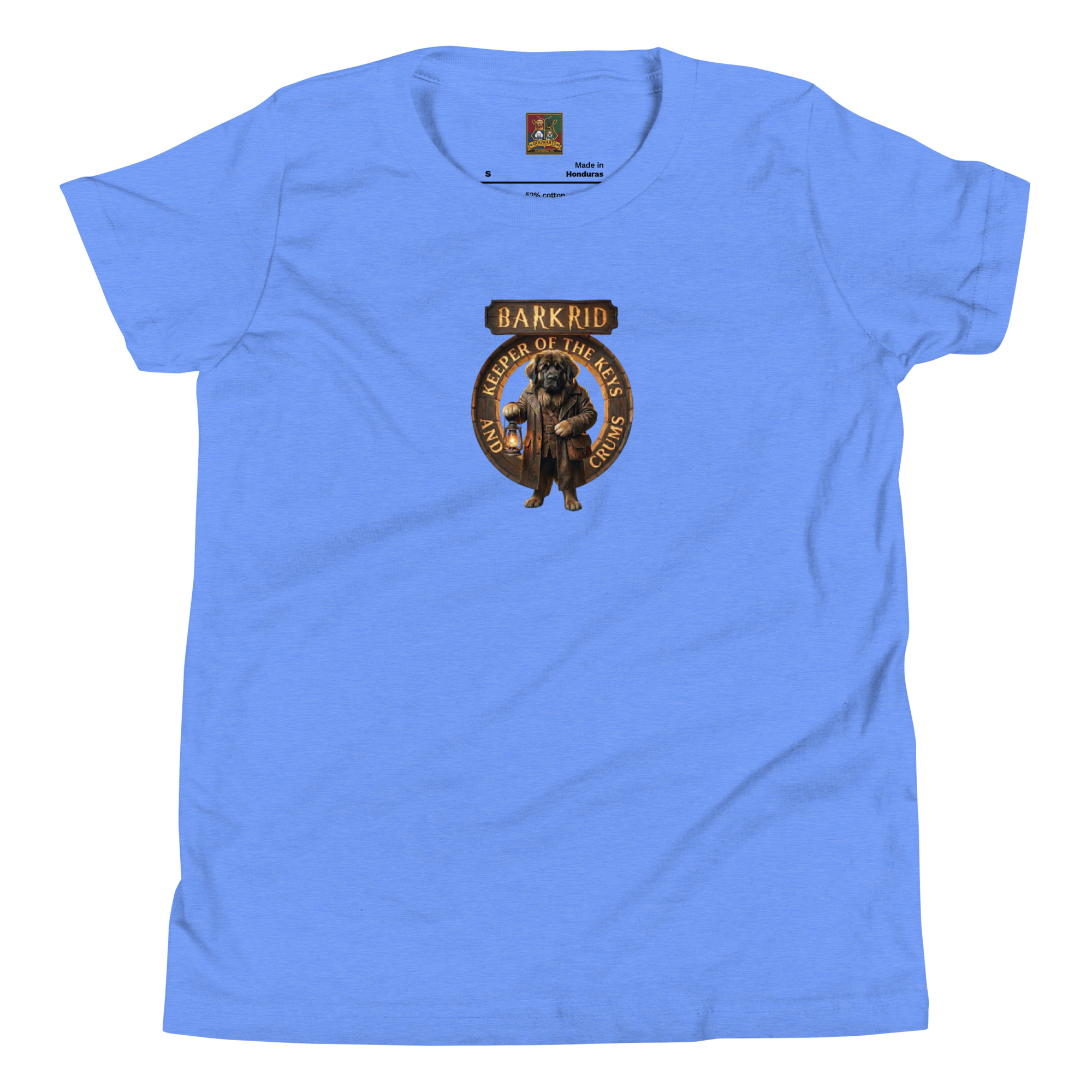 youth-staple-tee-heather-columbia-blue-front-6a60e30dd8db7.png