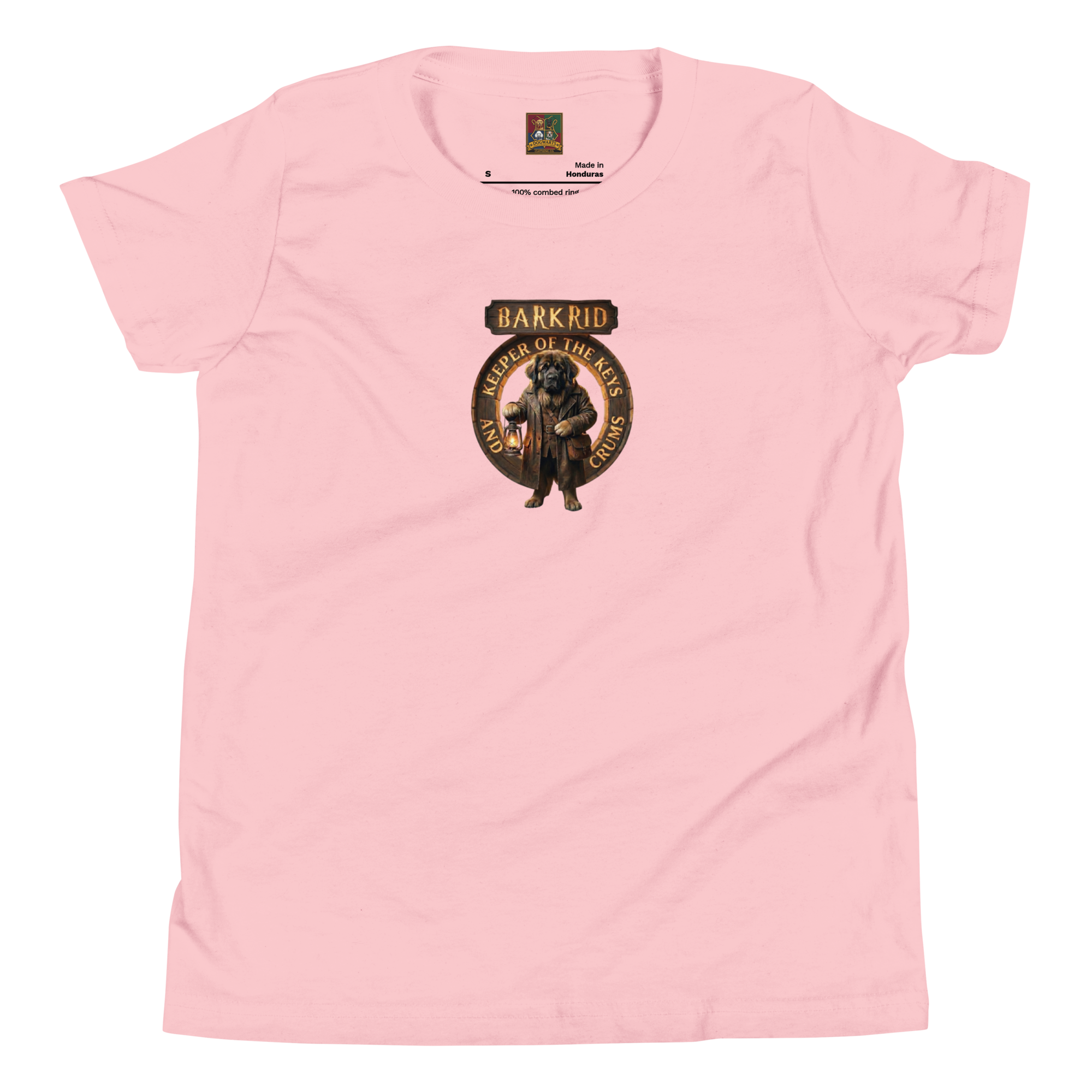 youth-staple-tee-pink-front-6a60e30dda3d8.png