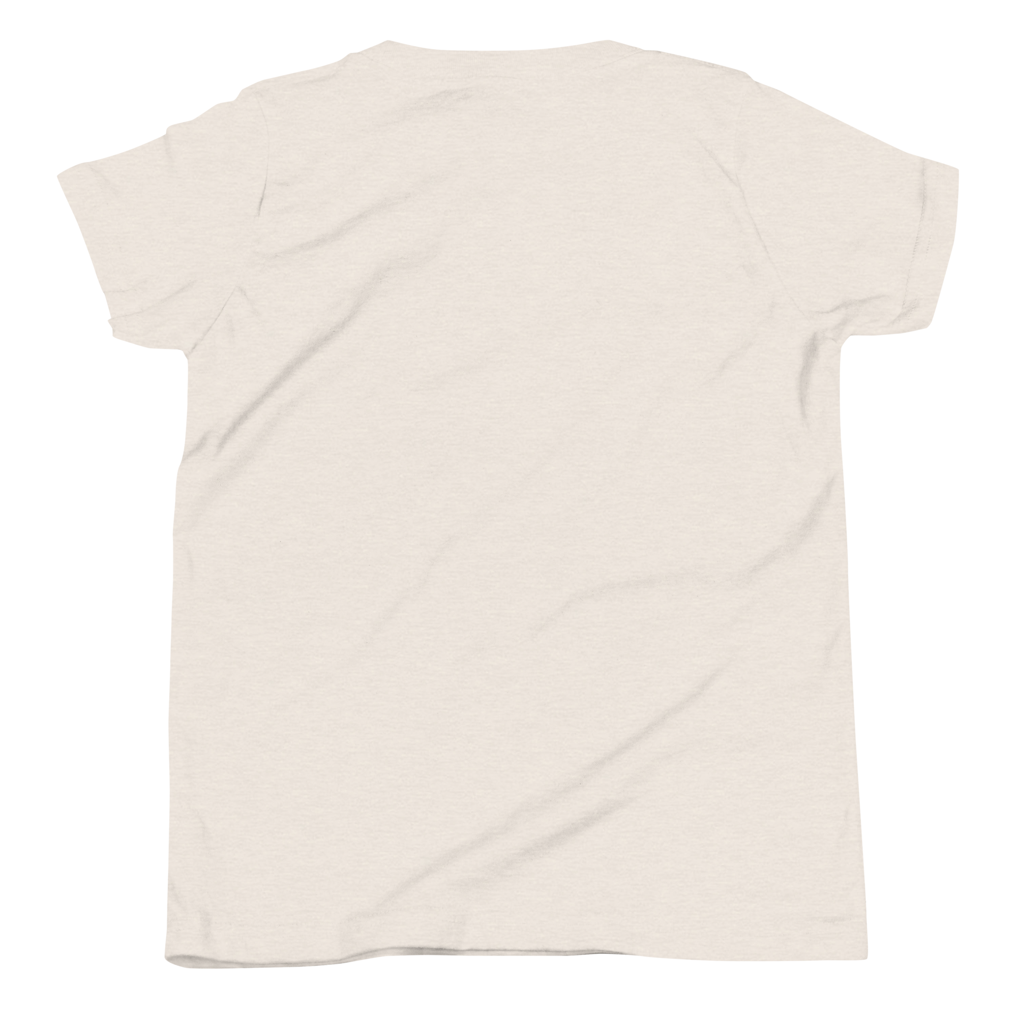 youth-staple-tee-heather-dust-back-6a60e30ddb922.png