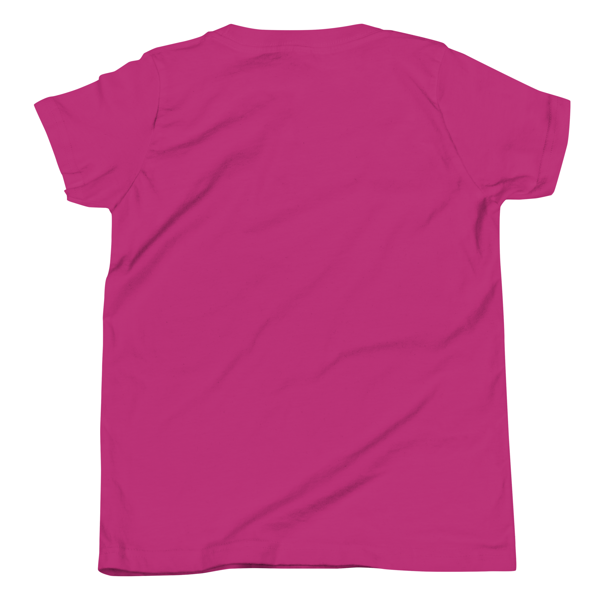 youth-staple-tee-berry-back-6a60e30ddb850.png