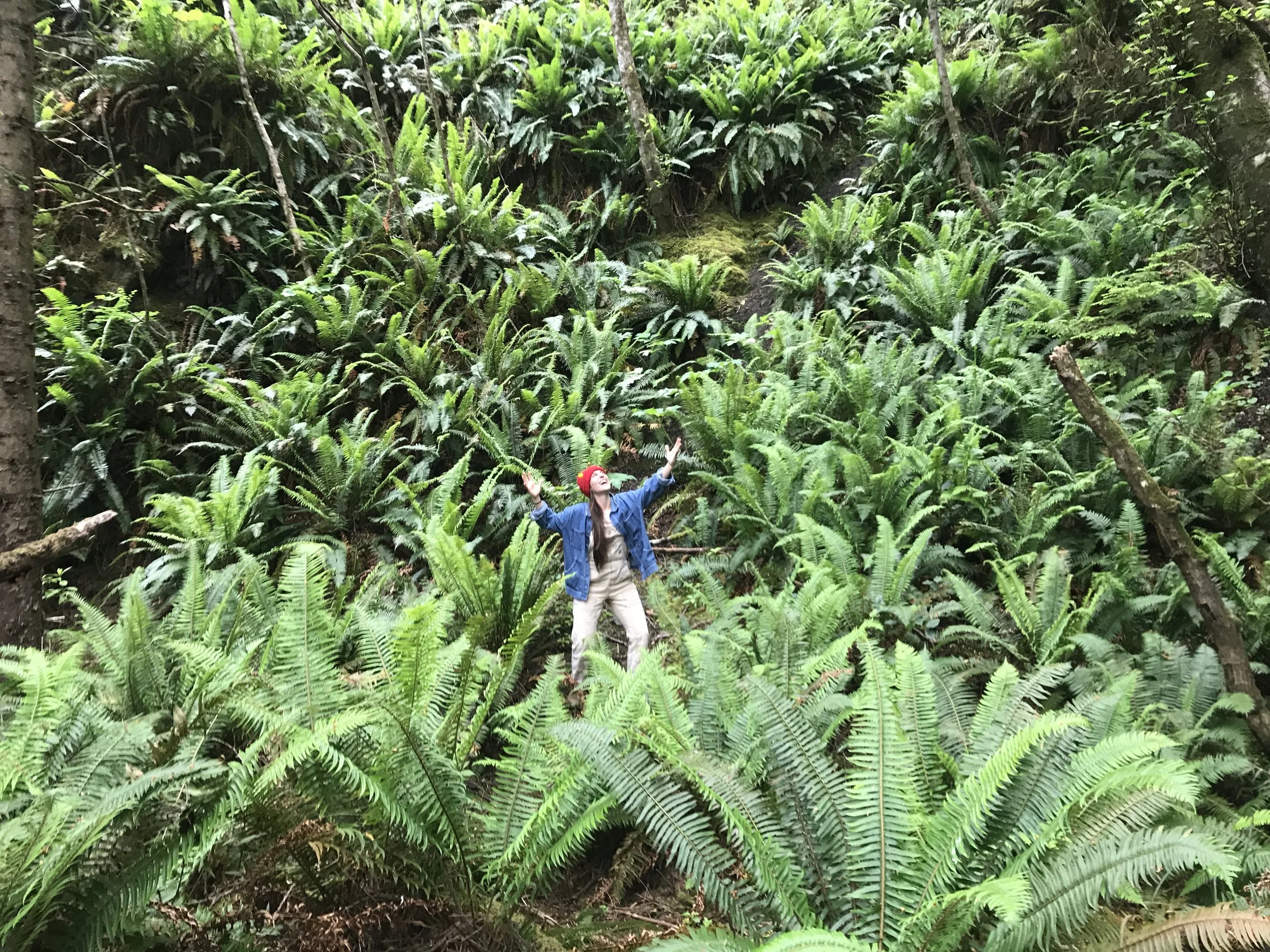 A person in a blue jacket, beige pants, red hat, and glasses, standing among dense green ferns and jungle foliage, raising their arms.