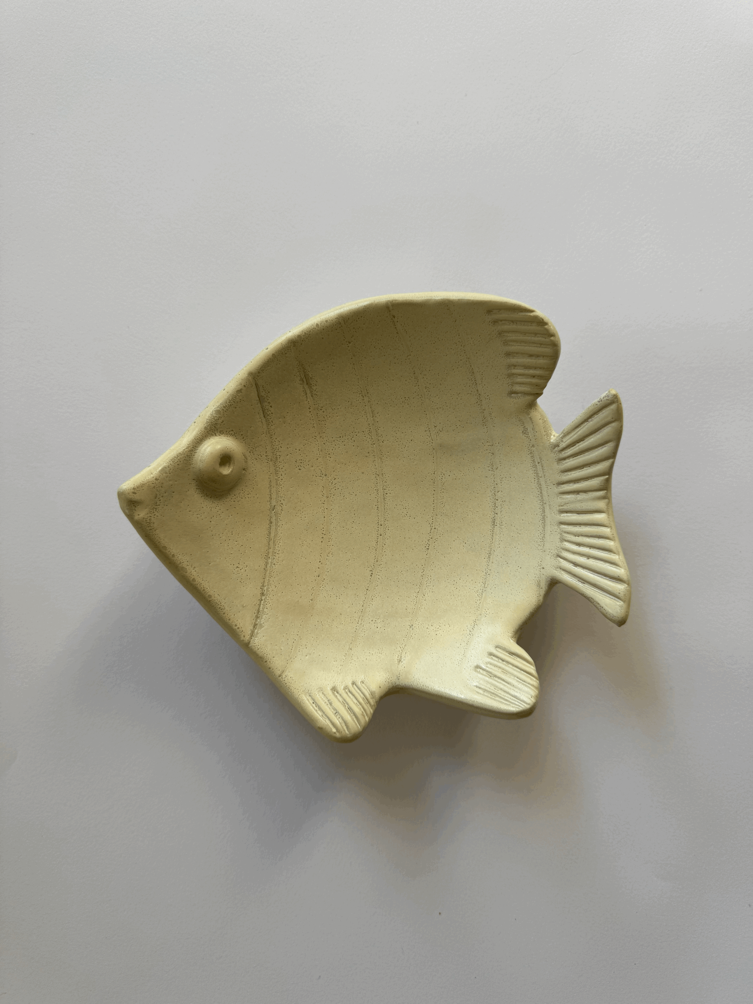 Golden Milk Fish Dish
