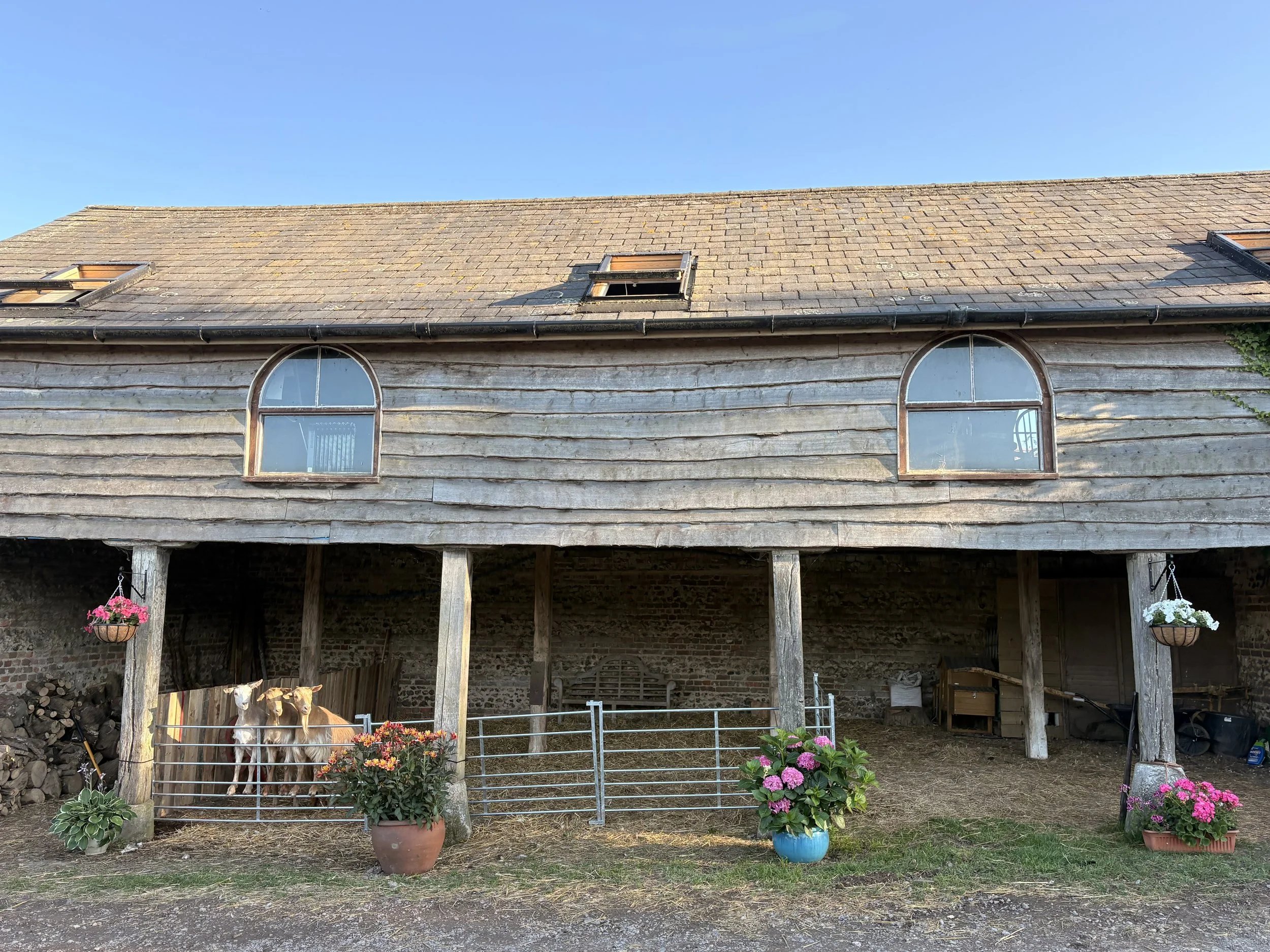 The Giggling Goat Experience - Tea & Cake