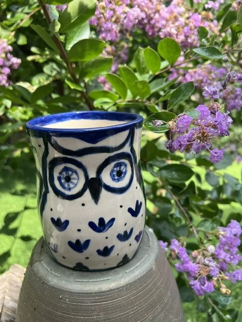 Owl Ceramic Cup