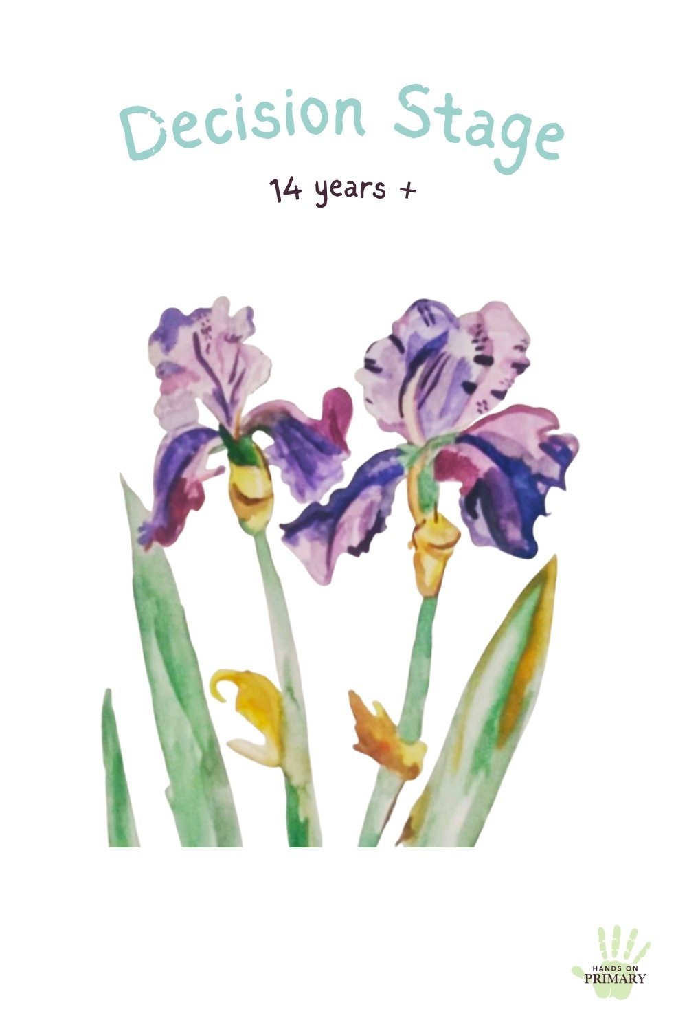 A watercolour study of Irises | Hands on Primary