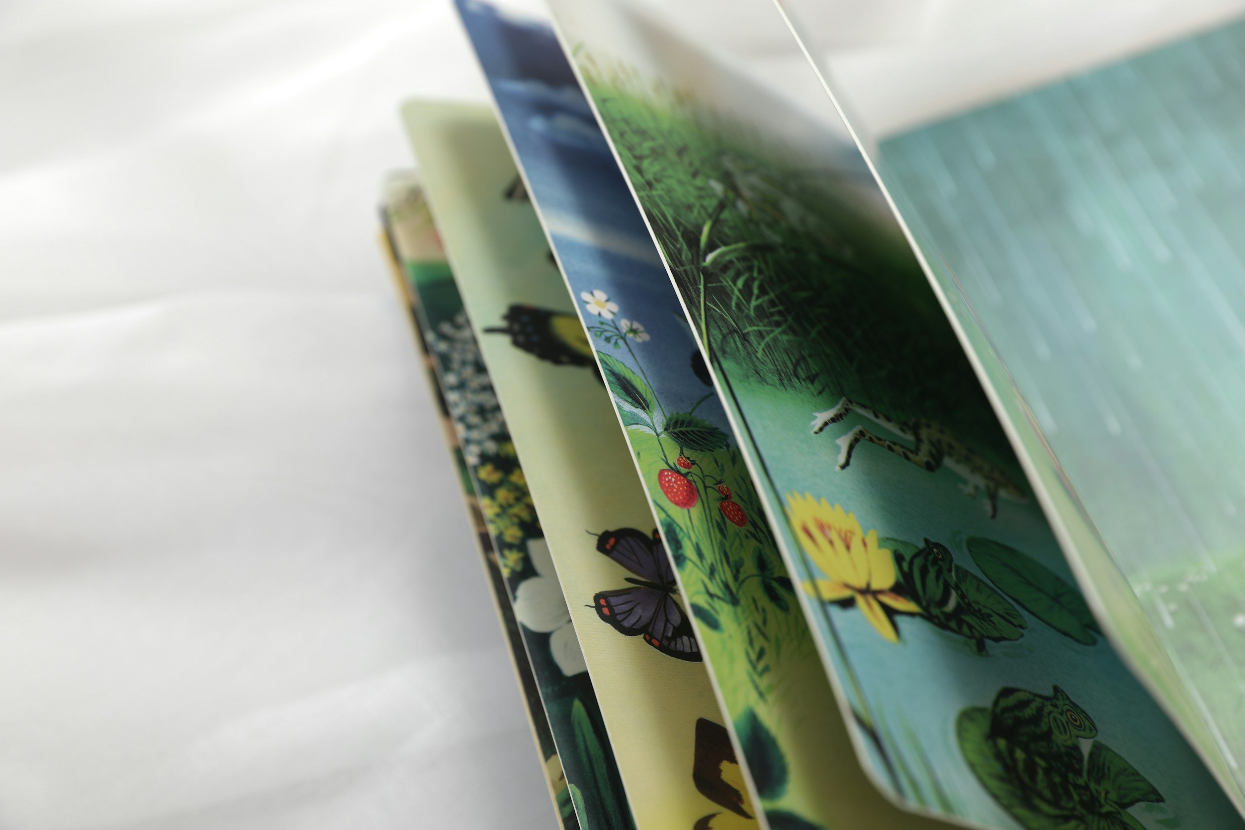 Pages of an illustrated children’s nature book featuring butterflies, insects and other wildlife.