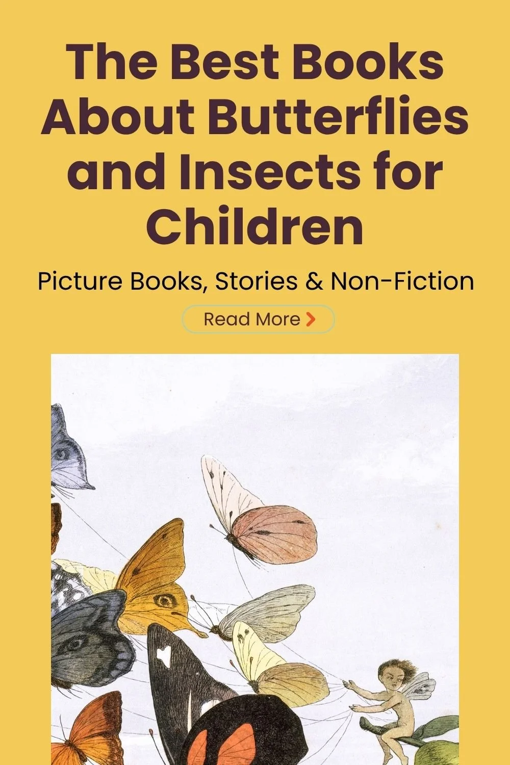 The Best Books About Butterflies and Insects for Children: Picture Books, Stories &amp; Non-Fiction