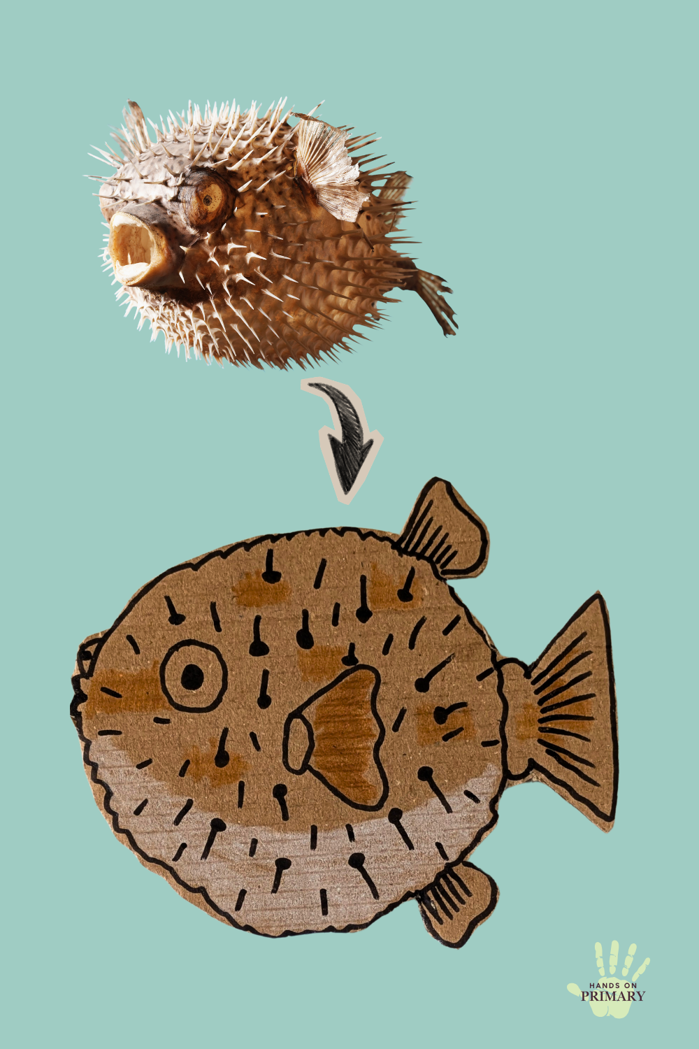  Handmade cardboard pufferfish inspired by a photograph of a real pufferfish. 