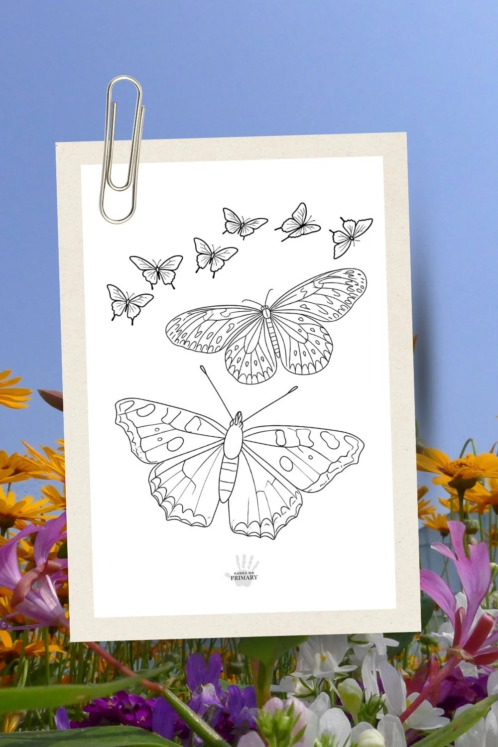 A butterfly colouring page pinned against a background of wildflowers.