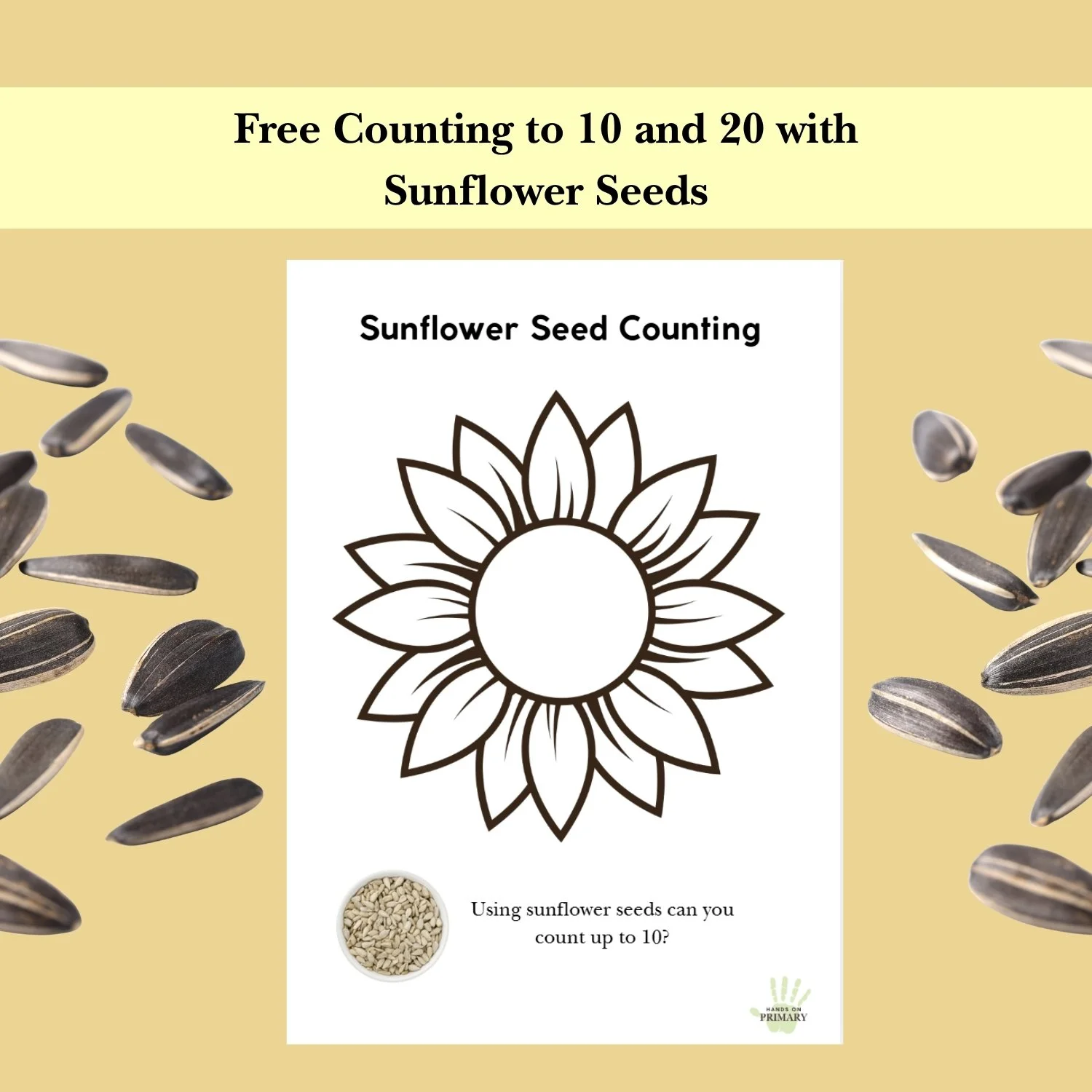A sunflower template with the title Sunflower Seed counting and images of scattered sunflower seeds.
