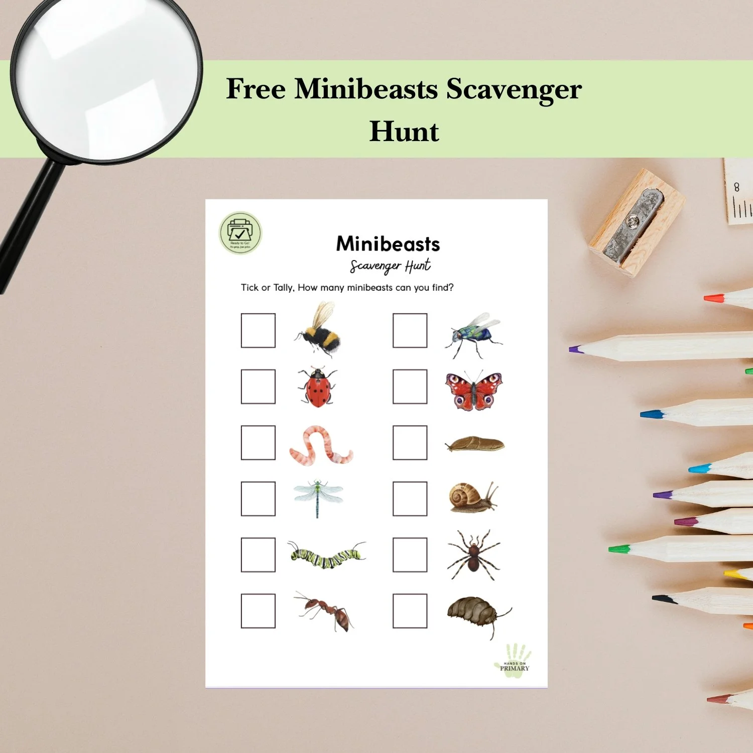 Prodcut Image Minibeasts Scavenger Hunt.jpg