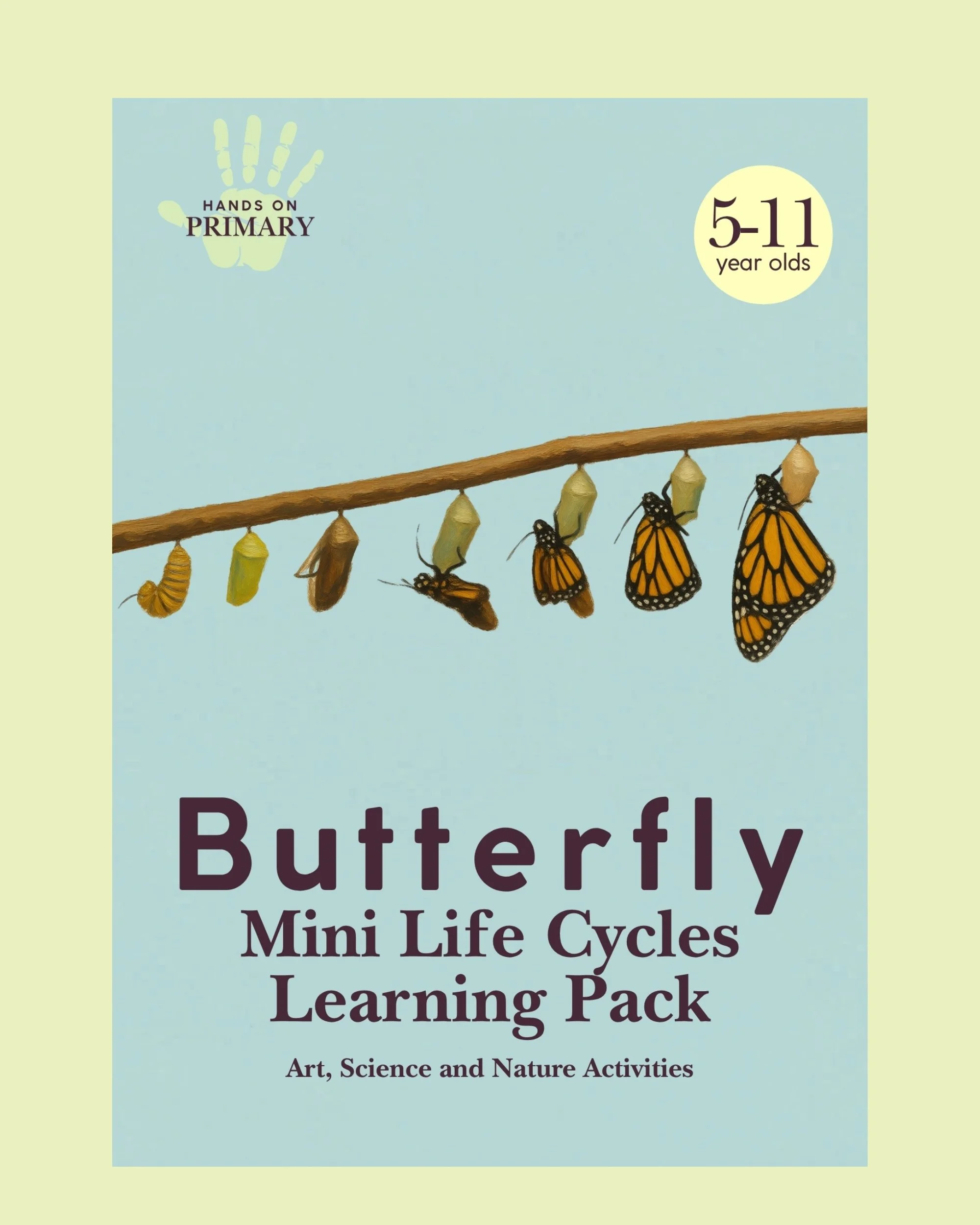 Butterfly Life Cycles and Learning Mini Pack