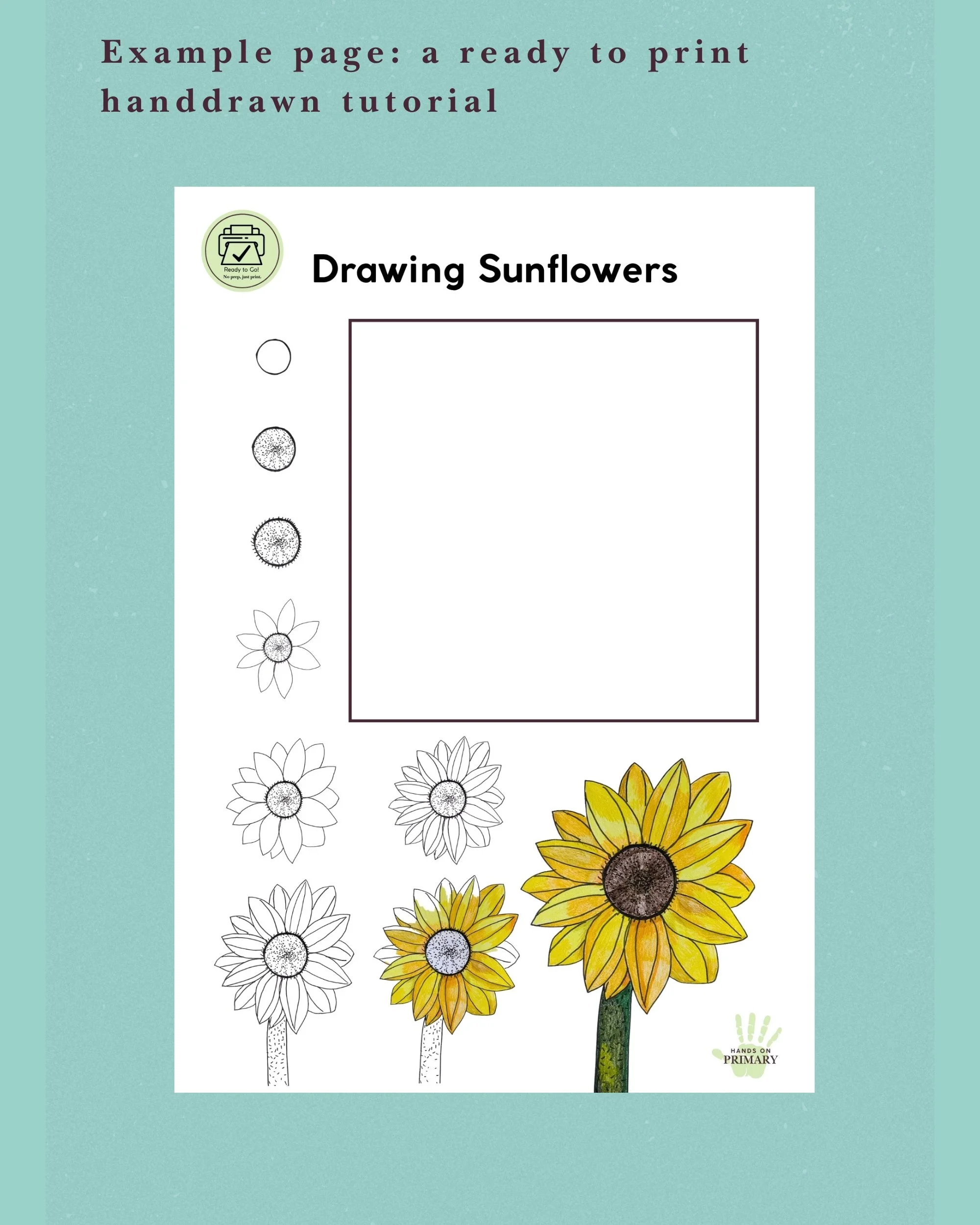 Category Image Page (2).jpg