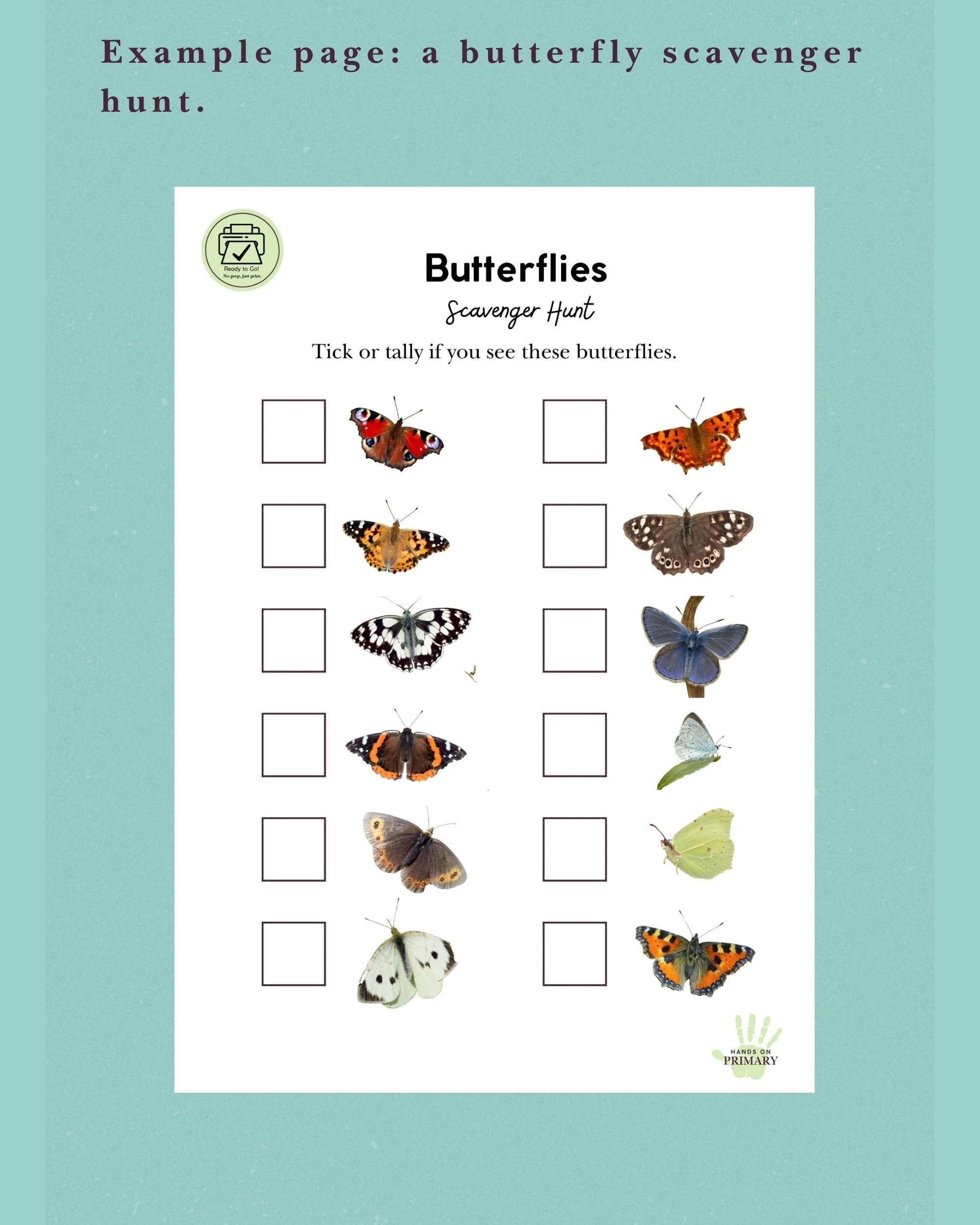 6, Category Image Page.jpg