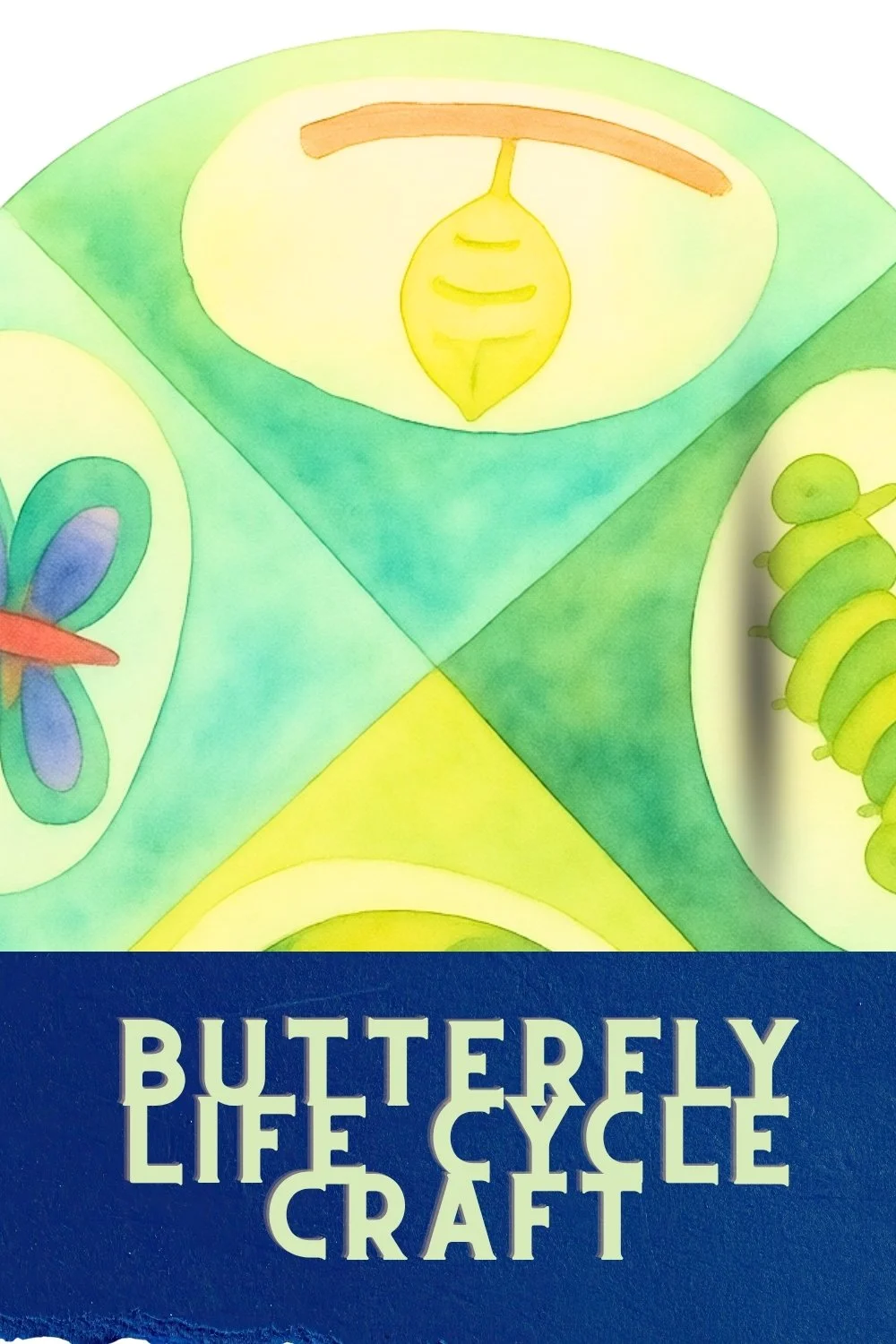 Part of a circle craft, which has been divided in quarters detailing a caterpillar, pupal stage and butterfly in the visible sections with the text butterfly life cycle craft.