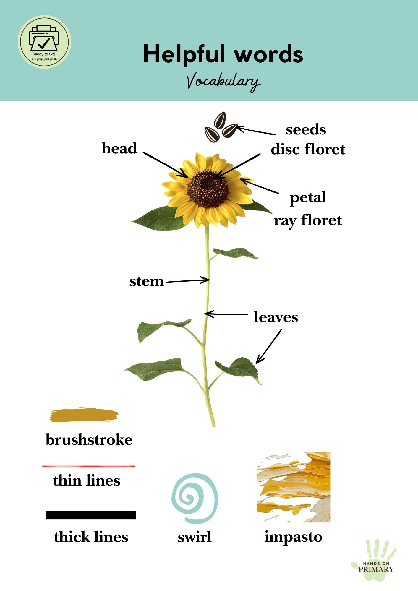 A vocabulary page with visuals and language describing a sunflower and art terms such as brushstroke and impasto.