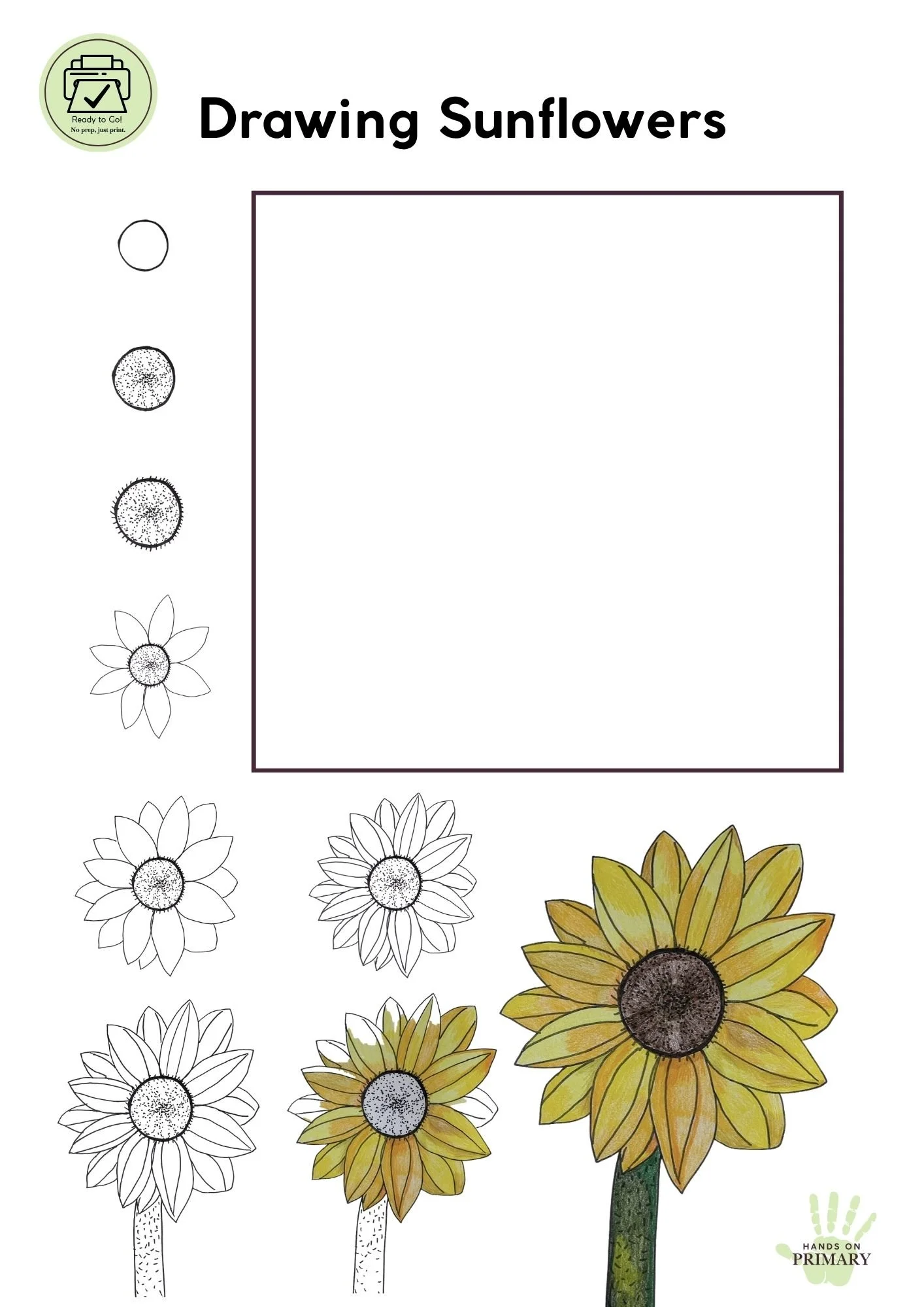 A drawing page with step by step instructions to draw a sunflower using colouring pencils.