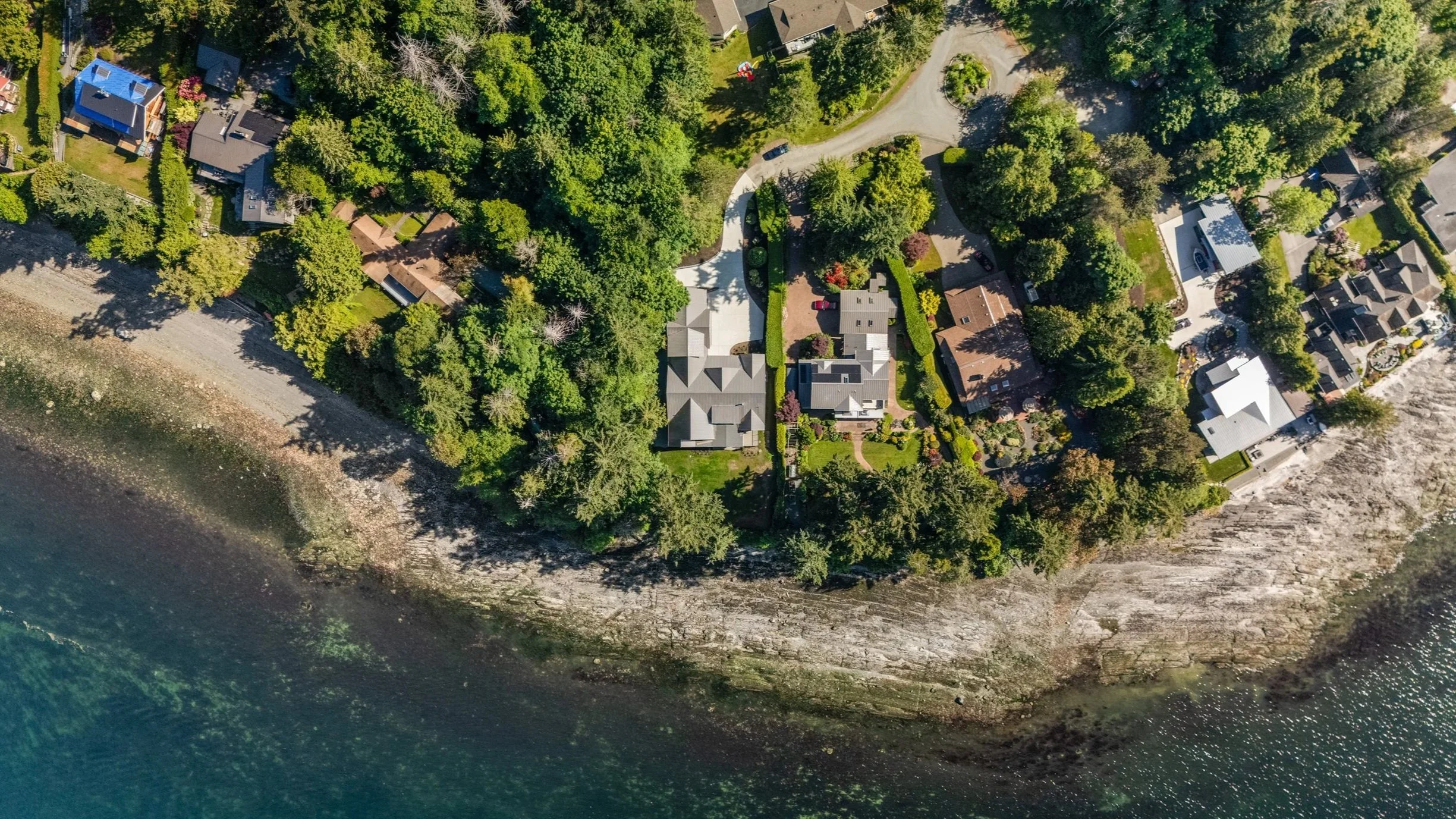 An aerial view of a residential neighborhood near a body of water, with houses surrounded by trees and a rocky shoreline.