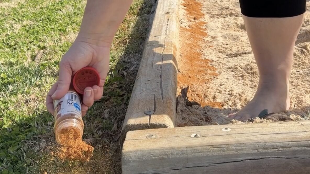 How to Keep Critters Out of Your Kid’s Sandbox