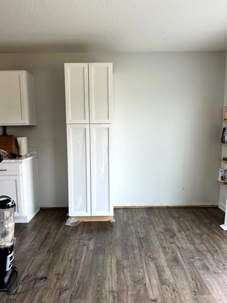 pantrywall1-768x1024.jpg