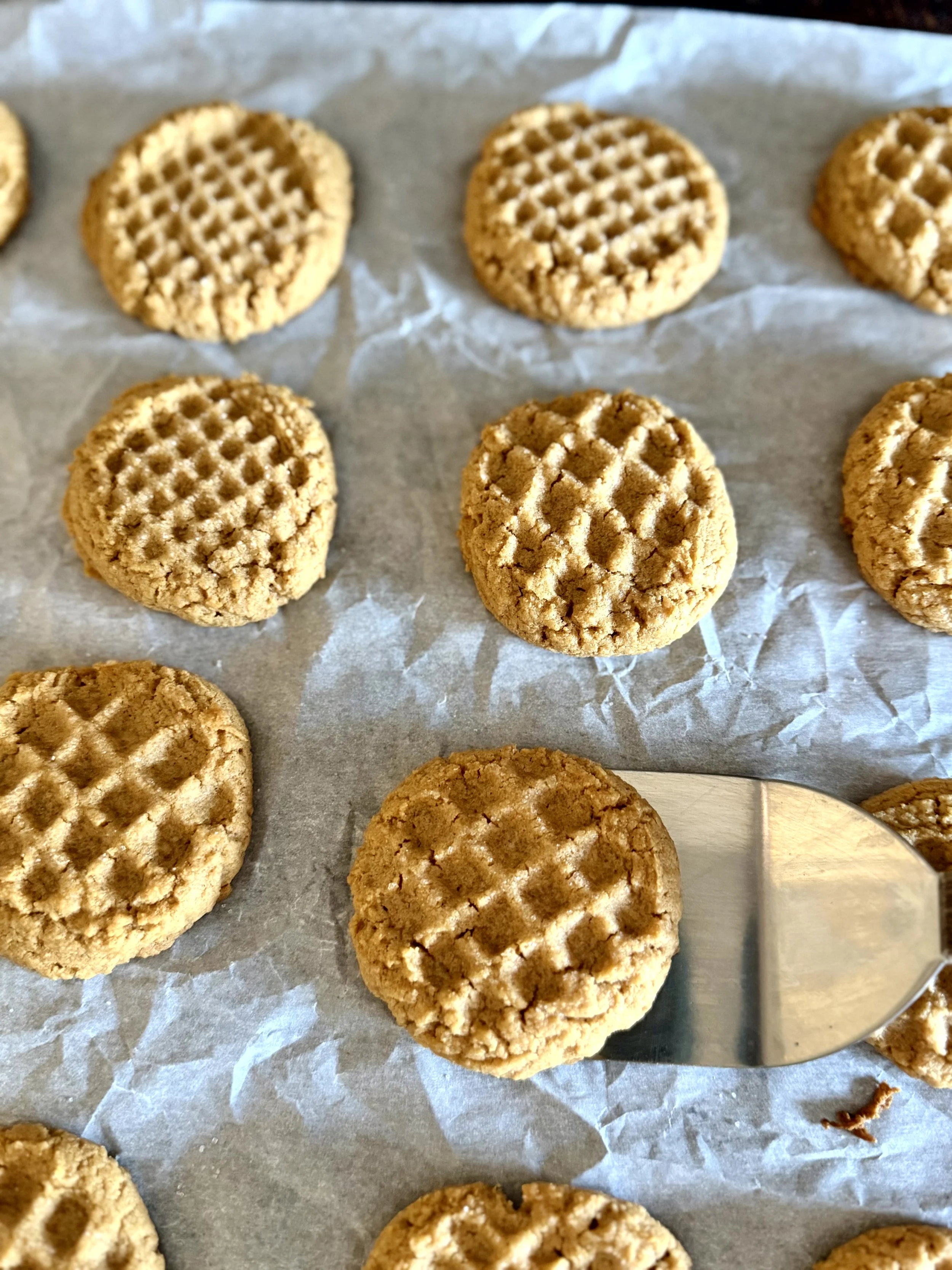 uncooked peanut butter cookies on a parchment lined cookie sheet, 