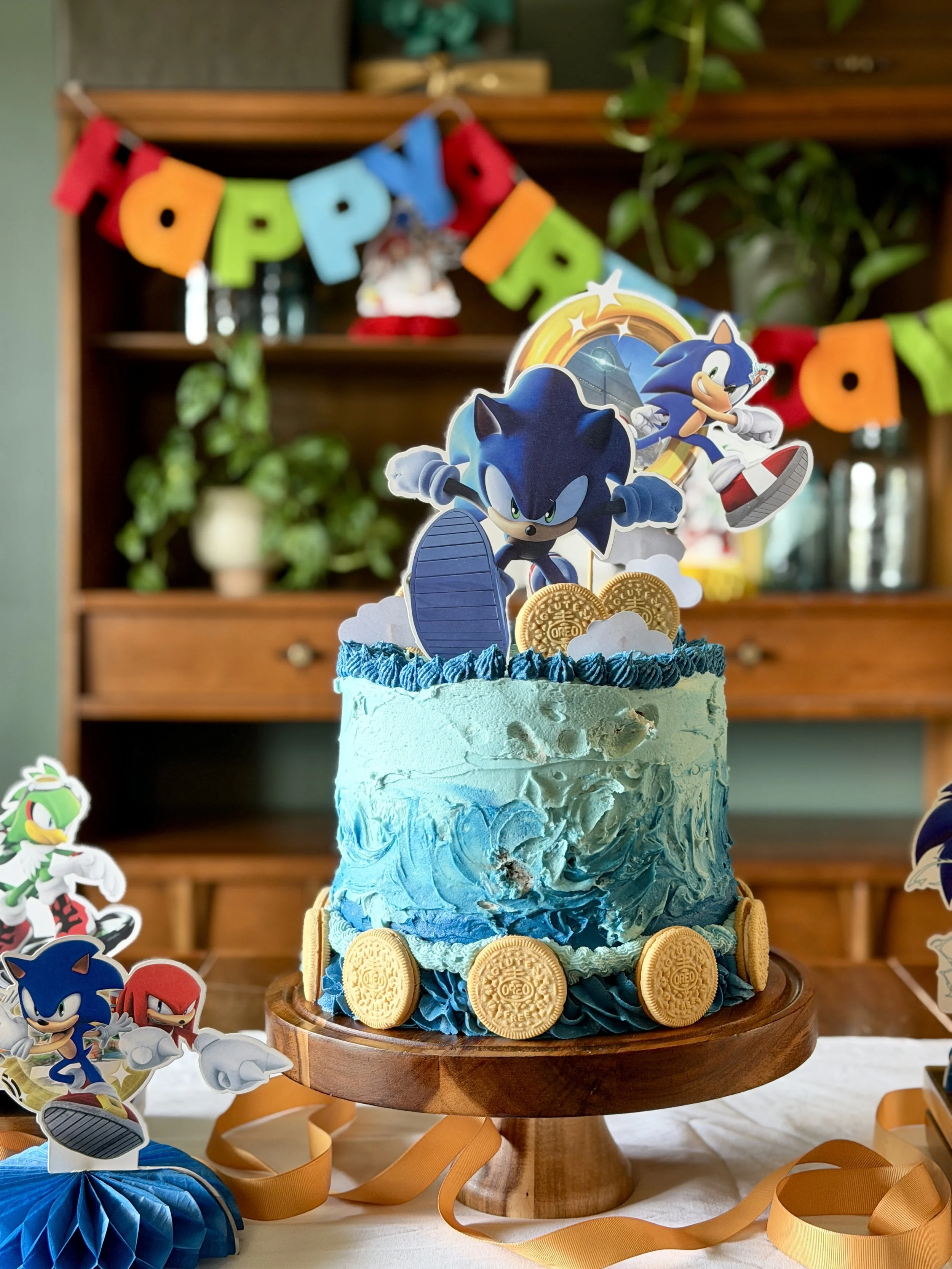 Sonic the Hedgehog Birthday Cake                   and Simple, Sustainable Birthday!