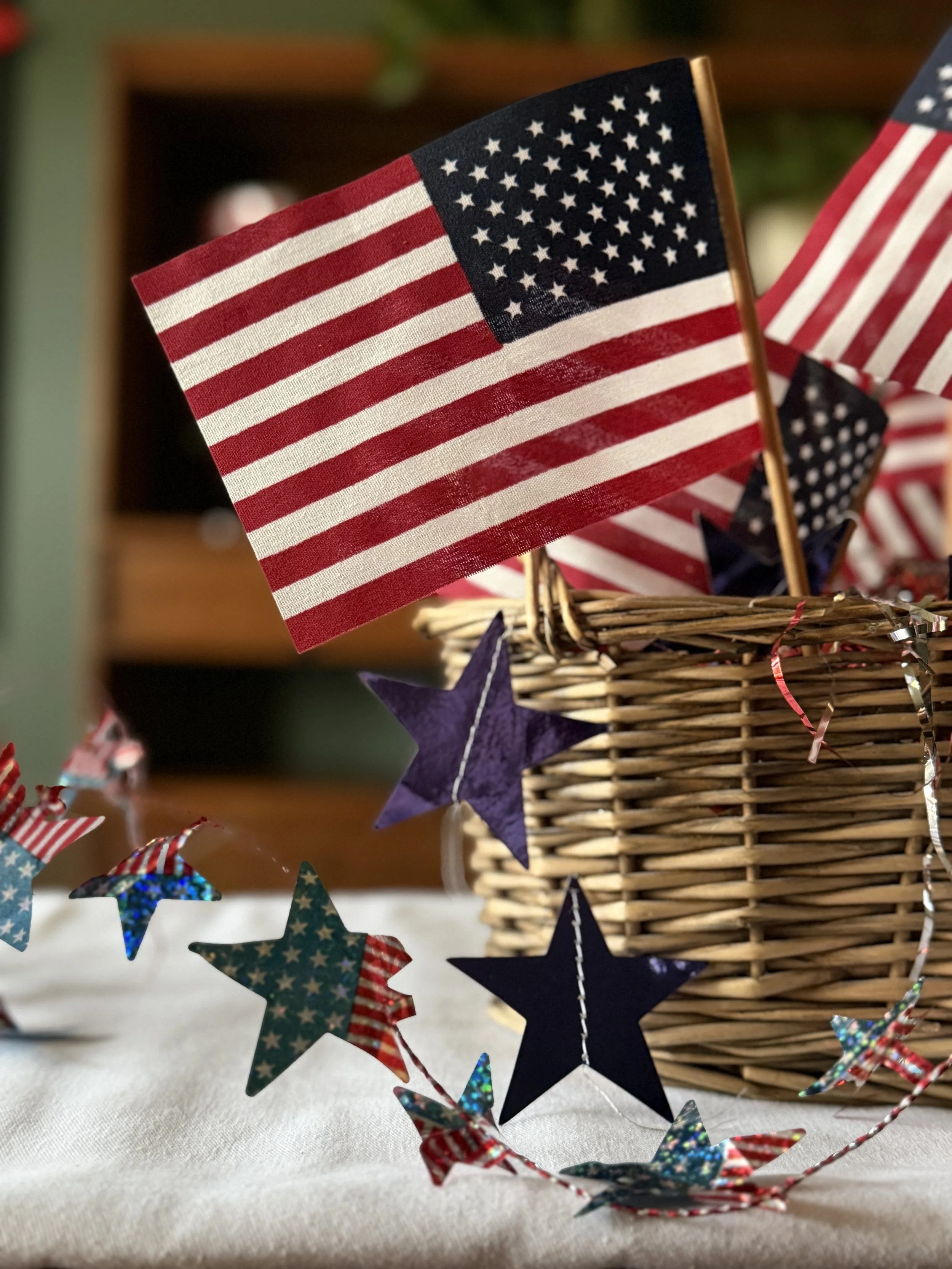 4th of July Decor, in a ziploc bag