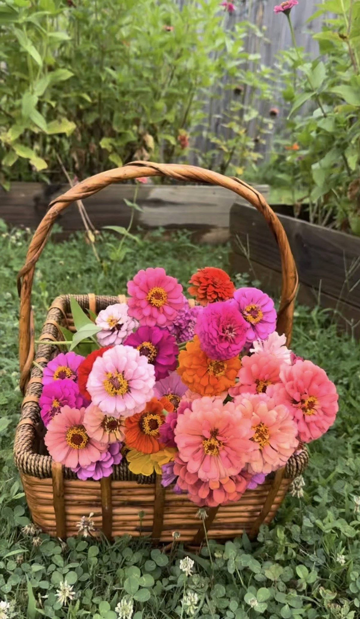 flowers basket outside.jpg