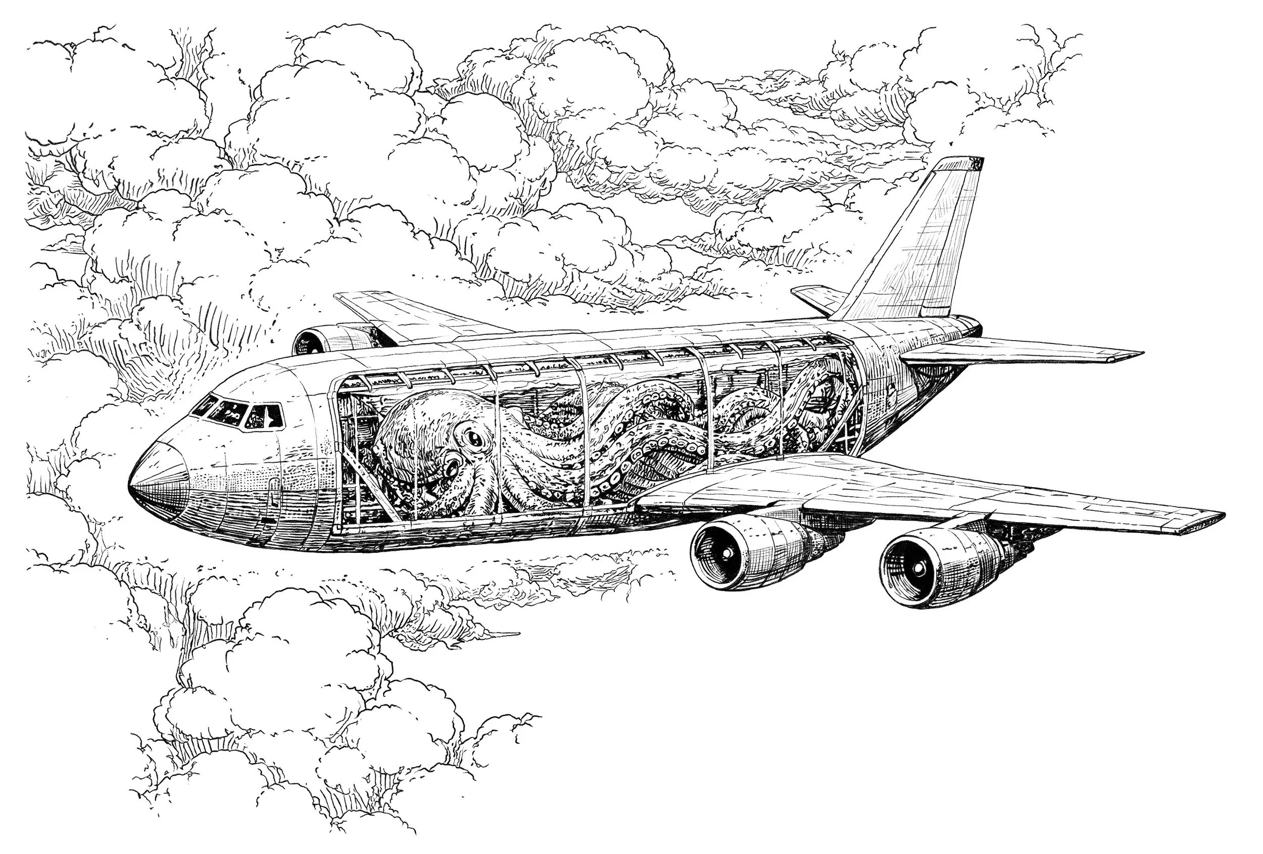 Airplane