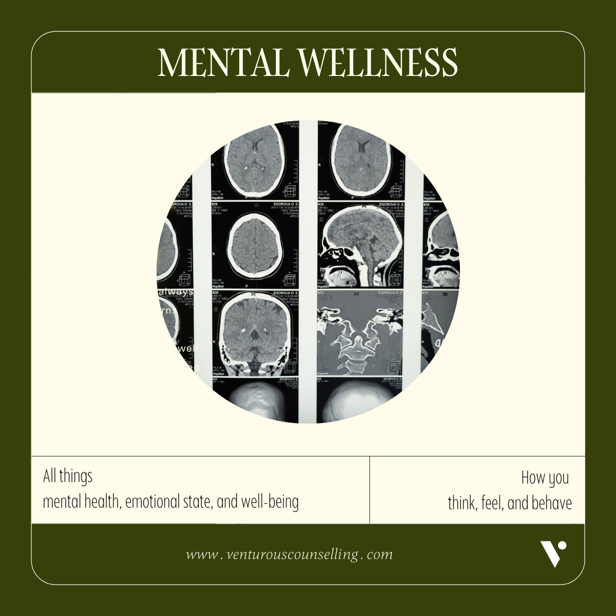 7DWellness3 (1).png