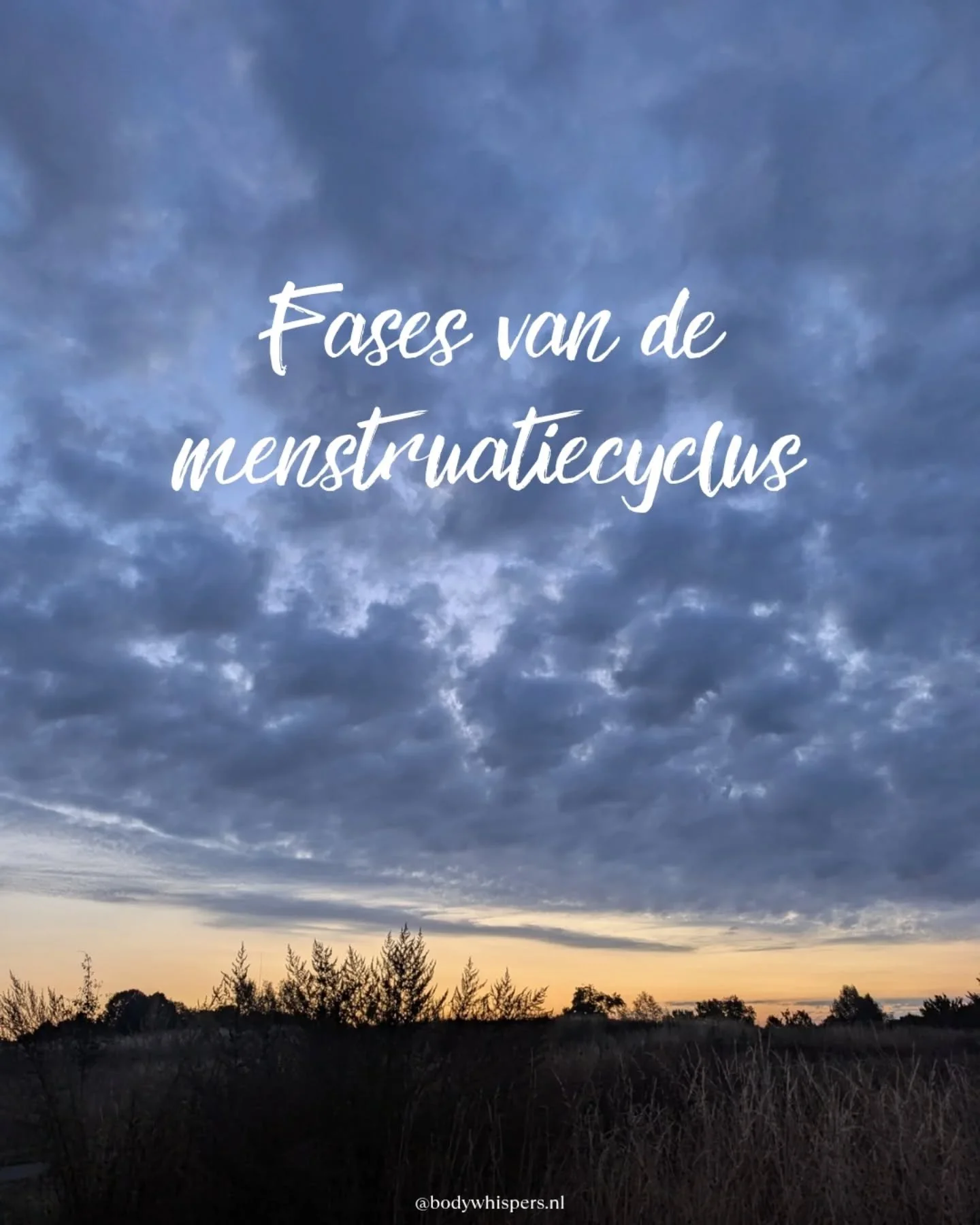 Wist je dat je menstruatiecyclus uit vier fases bestaat, net als de seizoenen? ❄️🌱☀️🍂

In elke fase veranderen je hormonen, je energie en je behoeften. De ene week kan je je super sociaal voelen, terwijl je de andere week het liefst met een dekentj