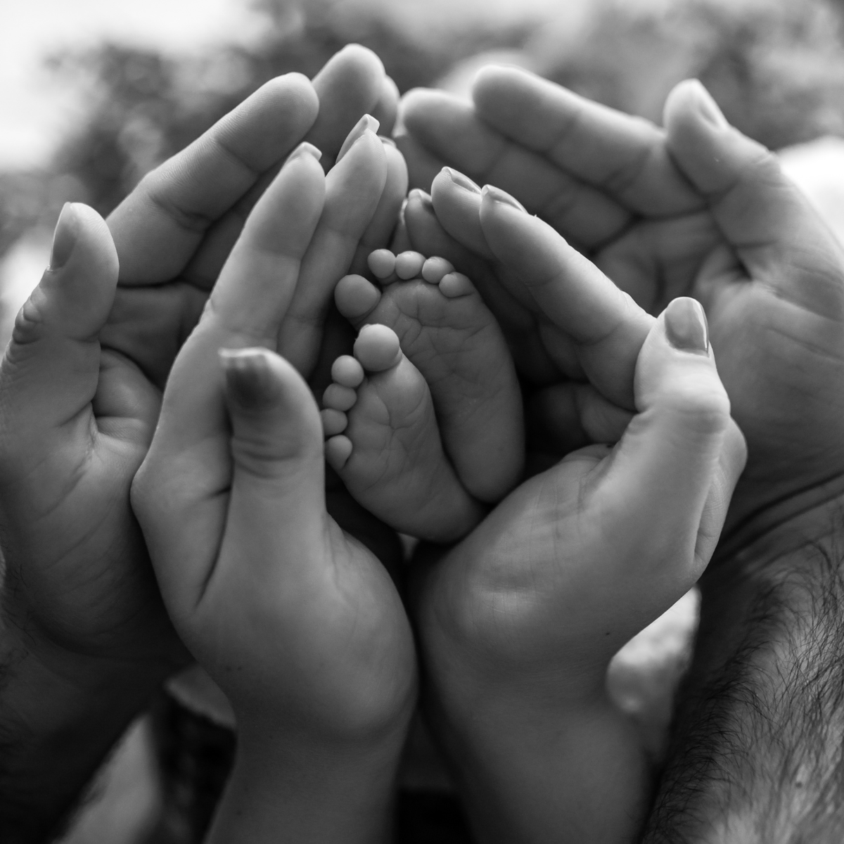 Multiple hands of different sizes and ages gently cradle tiny baby feet, shown in black and white.