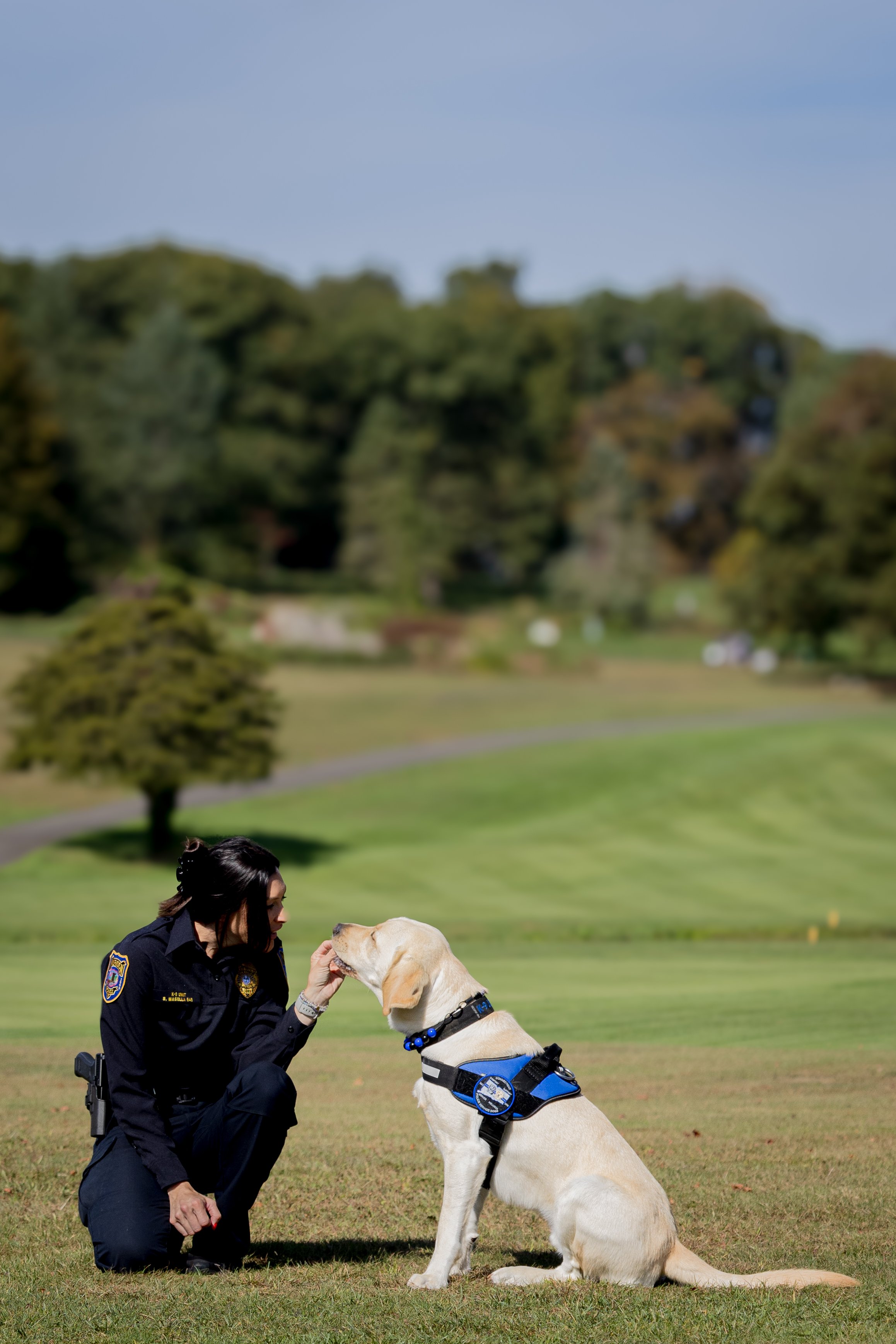 A female police officer kneeling down on a grassy field, gently petting the snout of a large Labrador Retriever police dog. The police dog is sitting and wearing a harness with police insignia. In the background, there are trees, a winding pathway, and a clear sky.