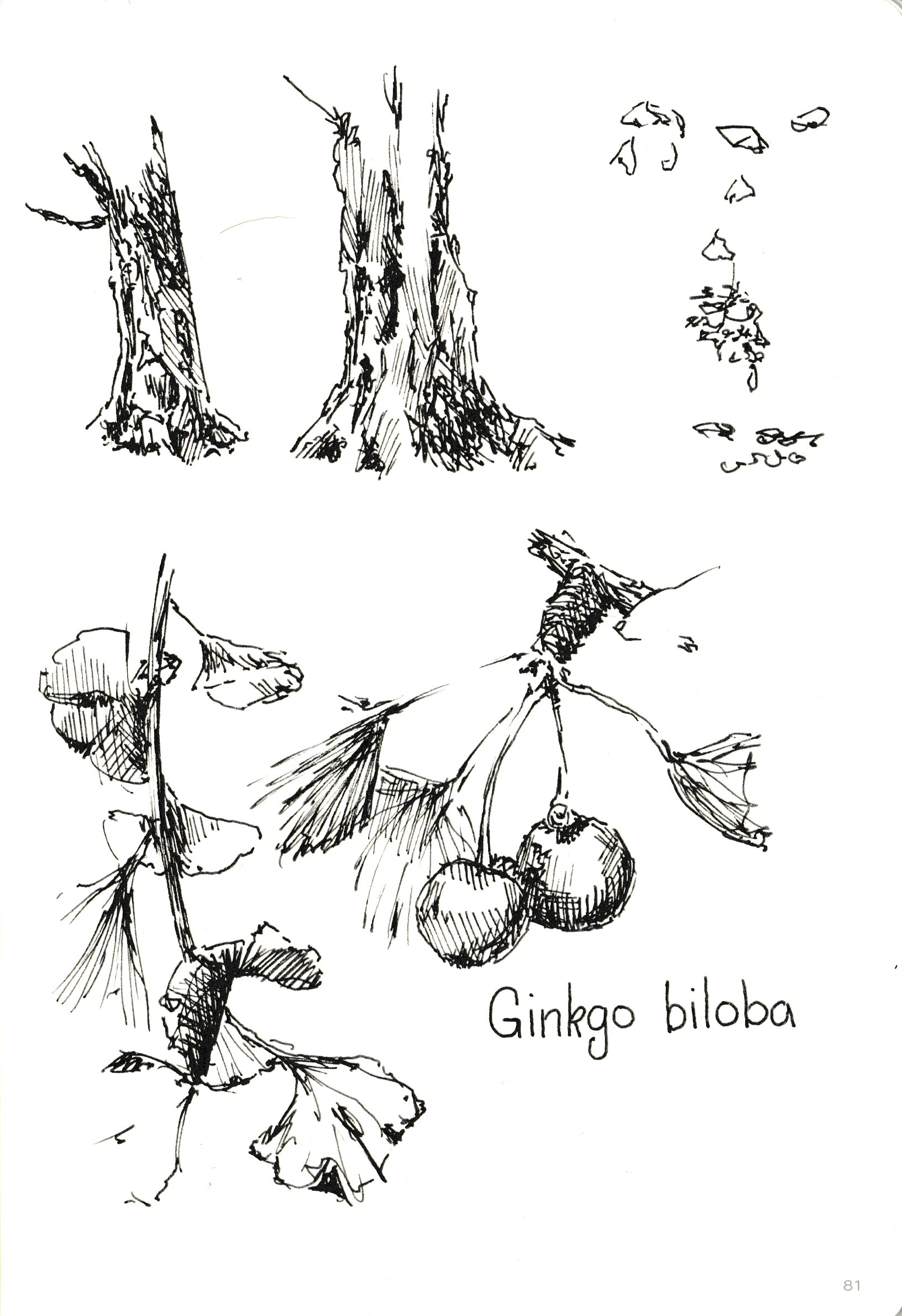 Scan_20260604 (19).png