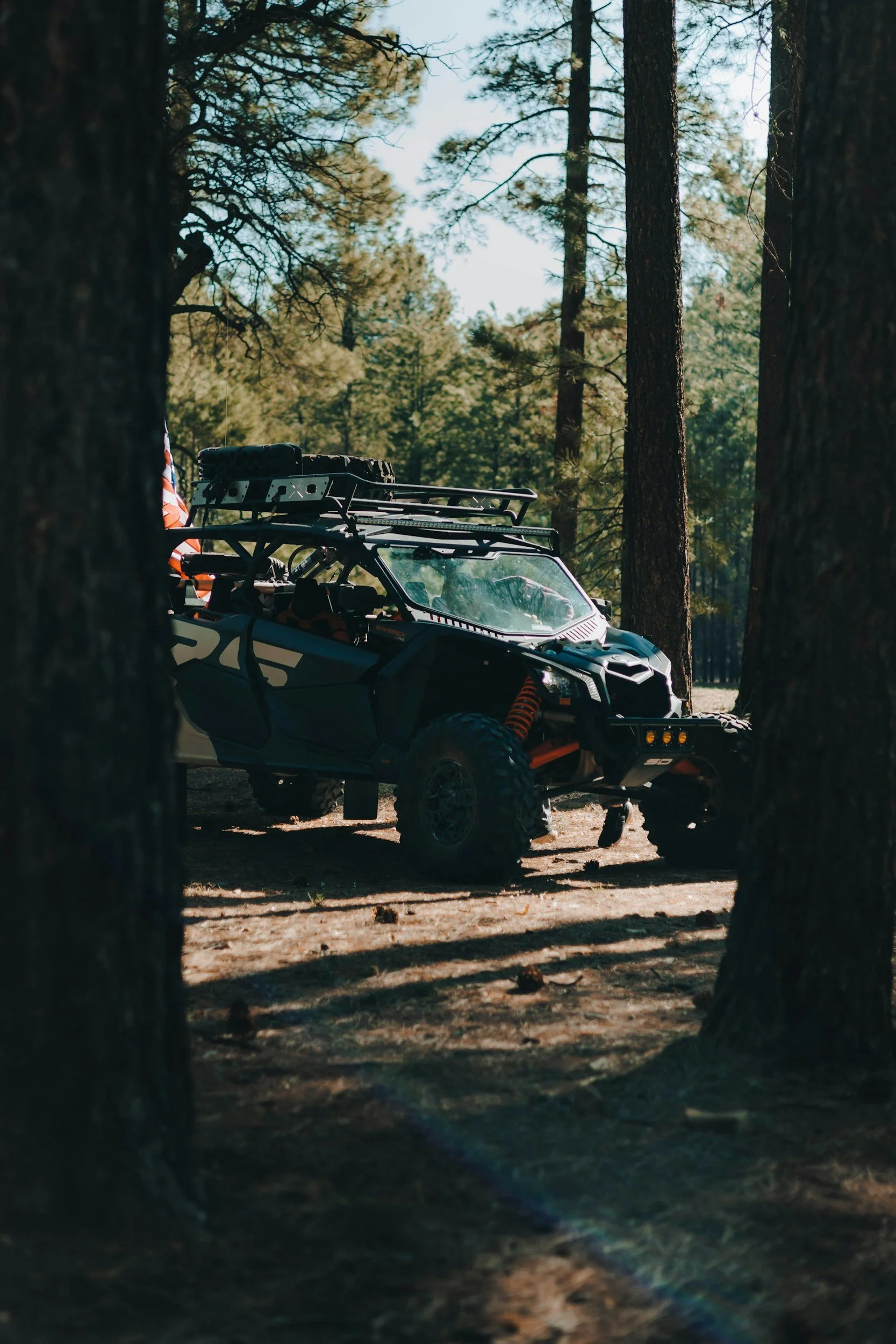Off-road vehicle parked among tall pine trees in a forest, with sunlight filtering through the branches.
