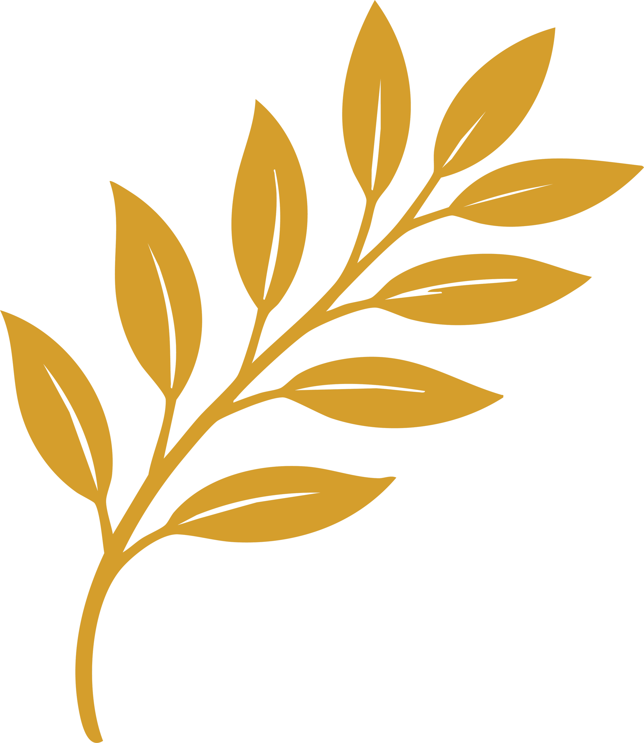 Gold-colored stylized leaves over black background.