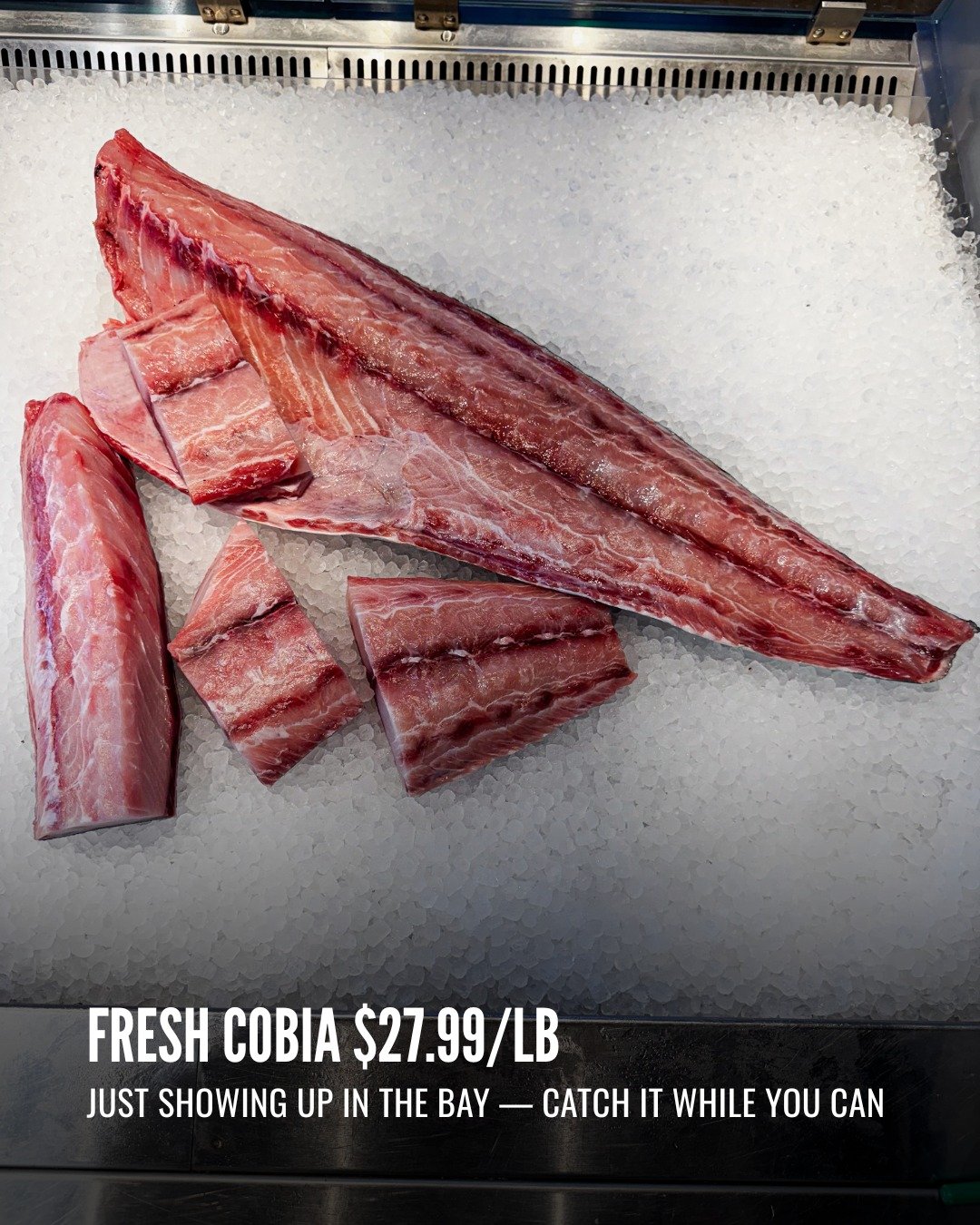 Cobia season is just getting started and these fish are not easy to come by. Our guys are working hard to bring in the freshest possible, and if you know cobia, you know it's worth it. Come grab yours at $27.99/lb. Limited supply. 🎣