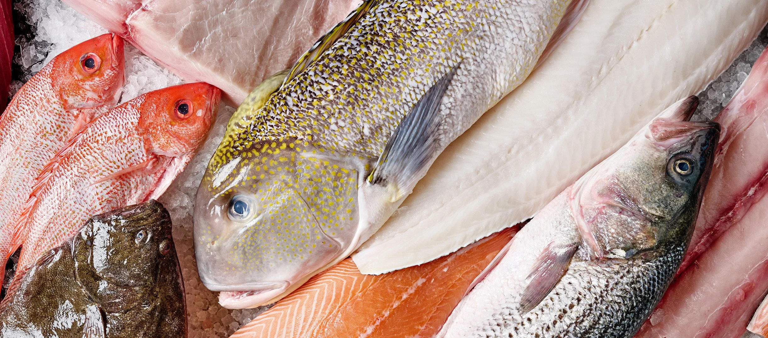 Shoreline_Seafood2.jpg