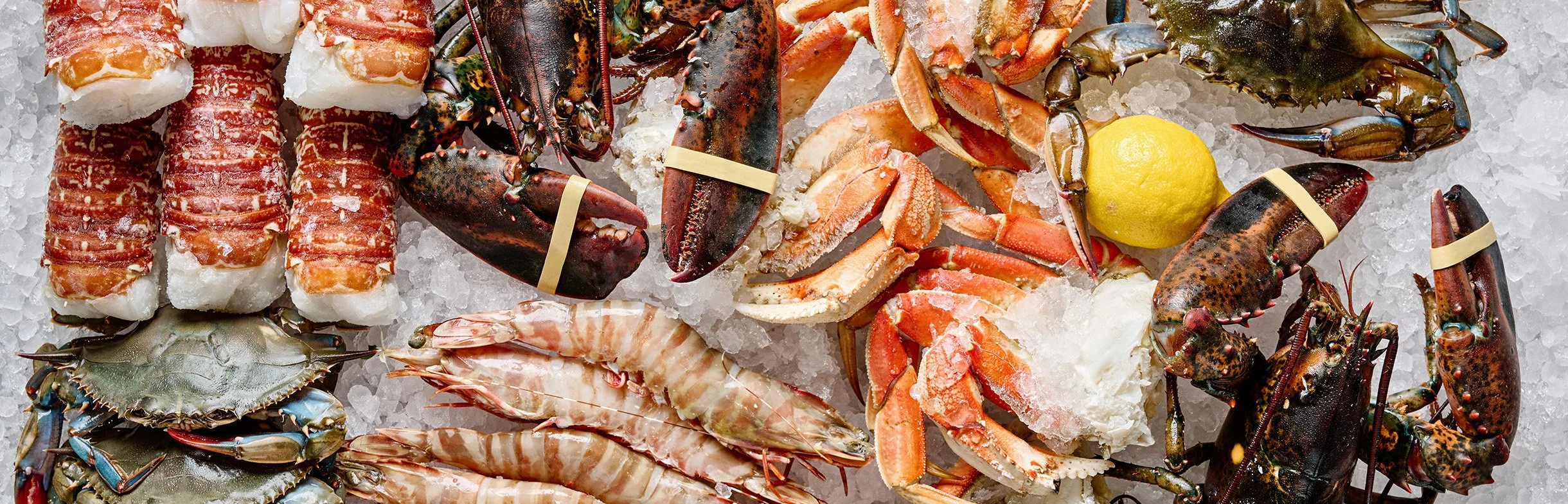 shoreline-seafood-hero.jpg