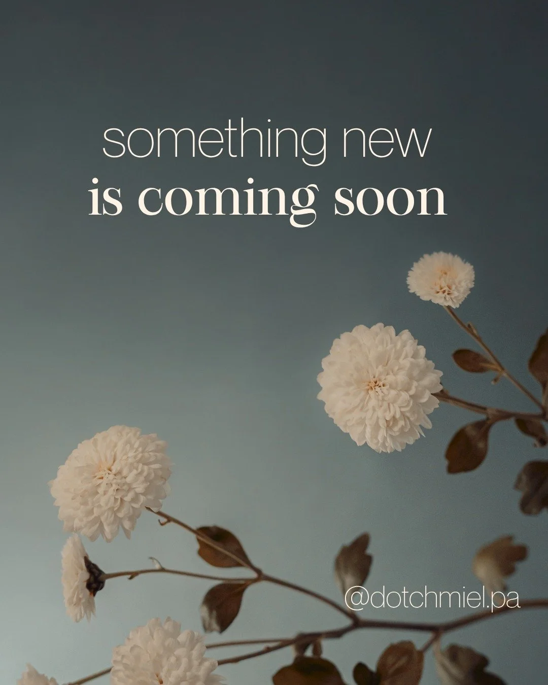 Something new is coming...

What started as a vision is becoming a reality.

A different way of thinking about health&mdash;one that values connection, curiosity, and taking the time to understand the whole person, not just the symptoms.

Because we 