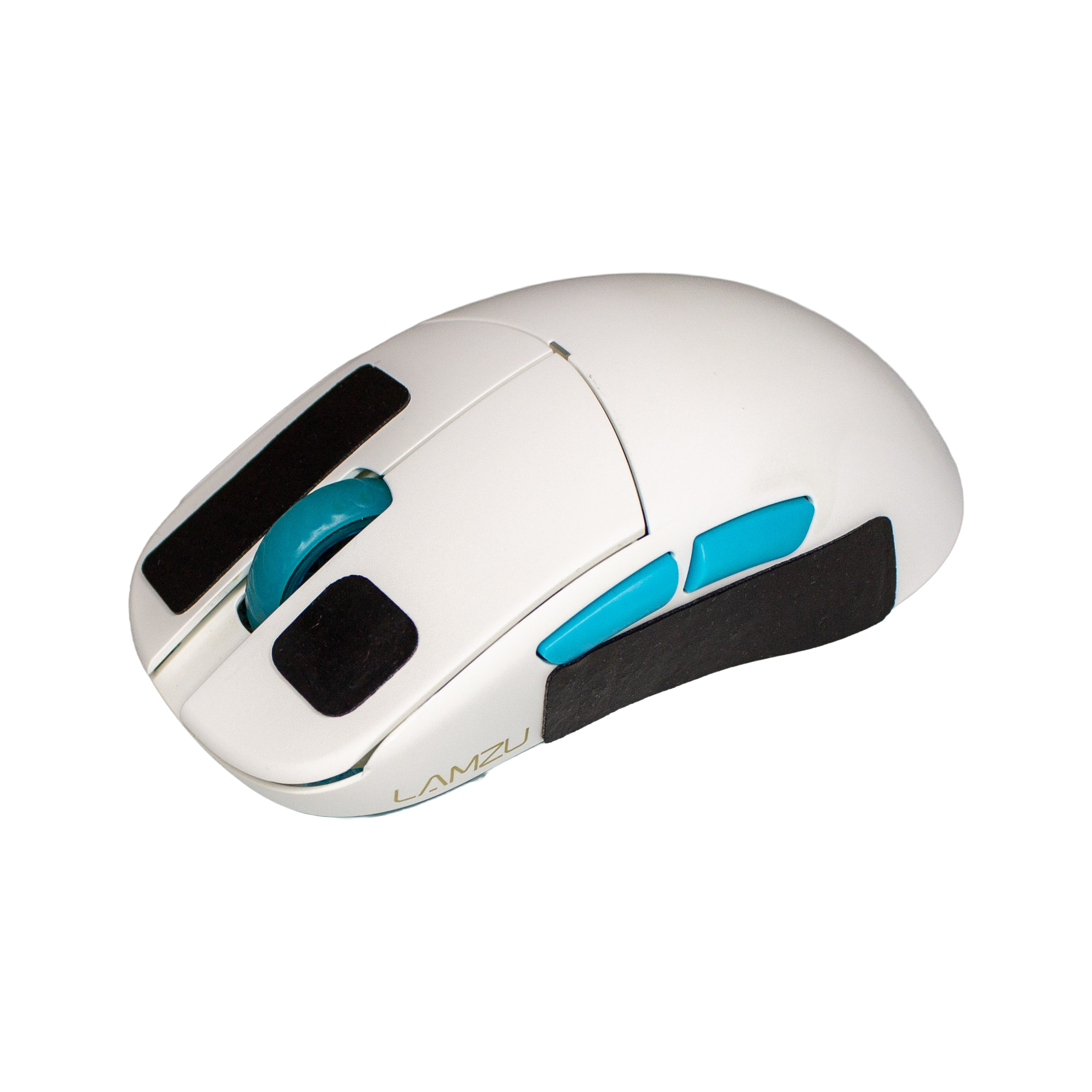 IMG_1515.png