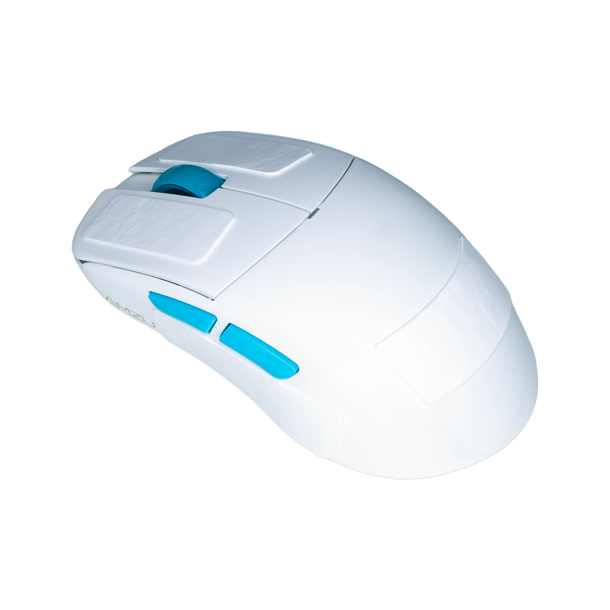 IMG_1495.png