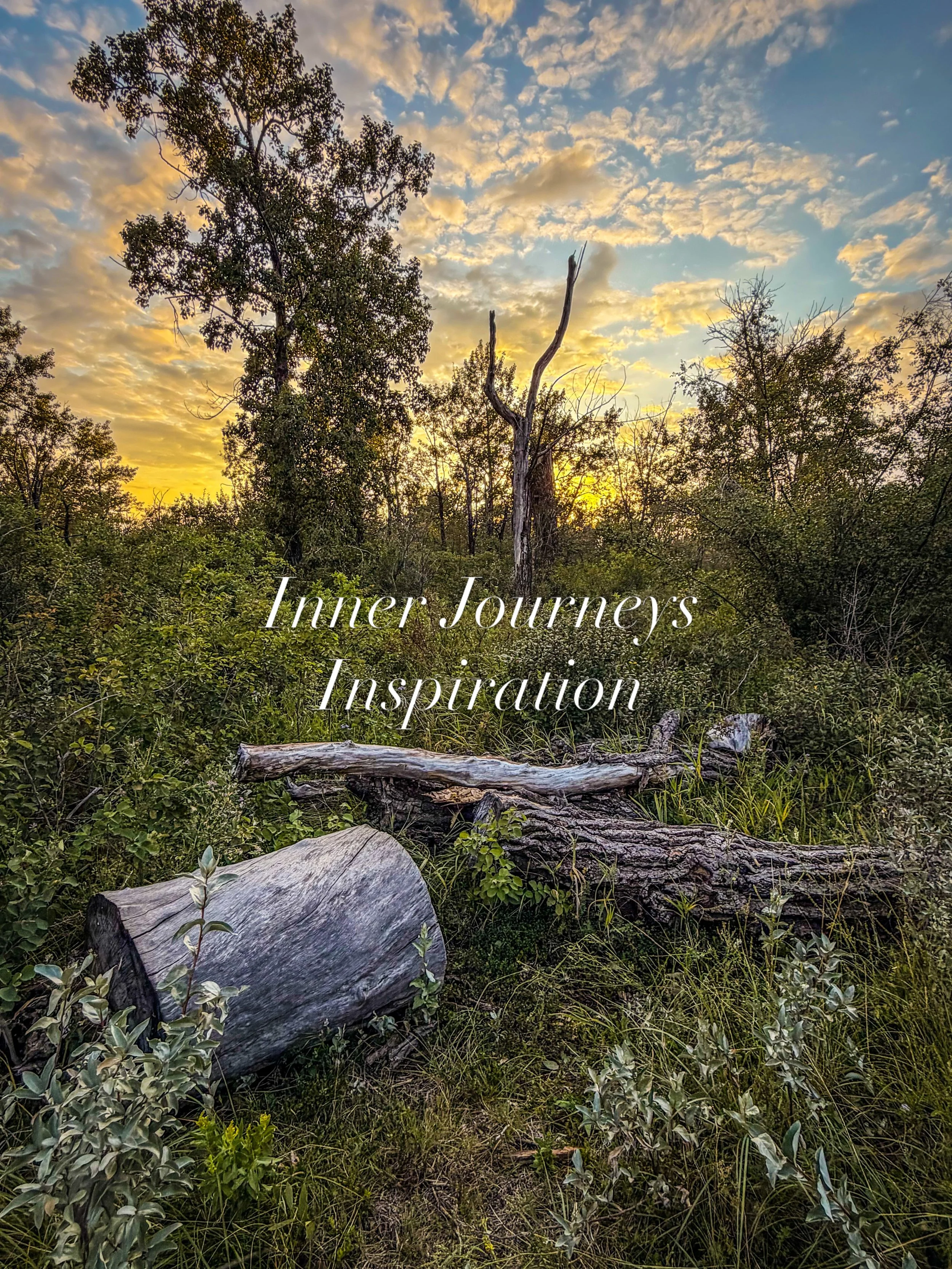 Nature 🌳 one of our greatest teachers! Inspiration is flowing and I&rsquo;m so excited for what&rsquo;s unfolding. We are almost ready to launch the new website and I can&rsquo;t wait to show you! Along with the website the autumn programs will be s