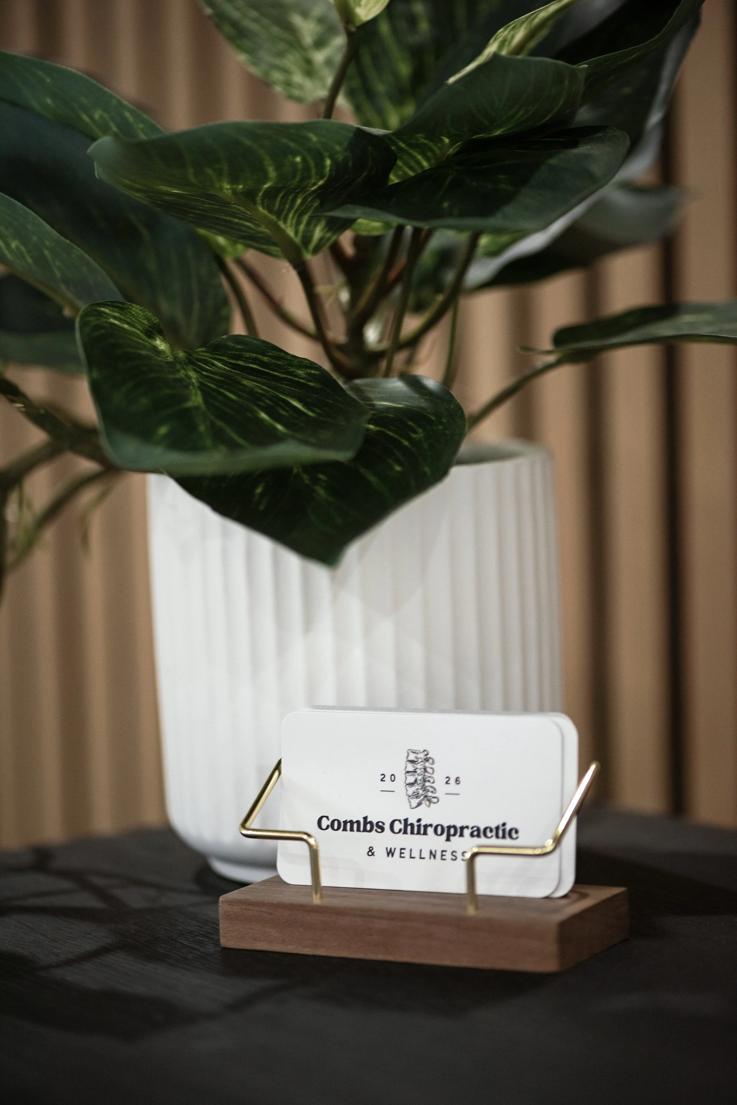 Combs Chiropractic & Wellness business card displayed with greenery.