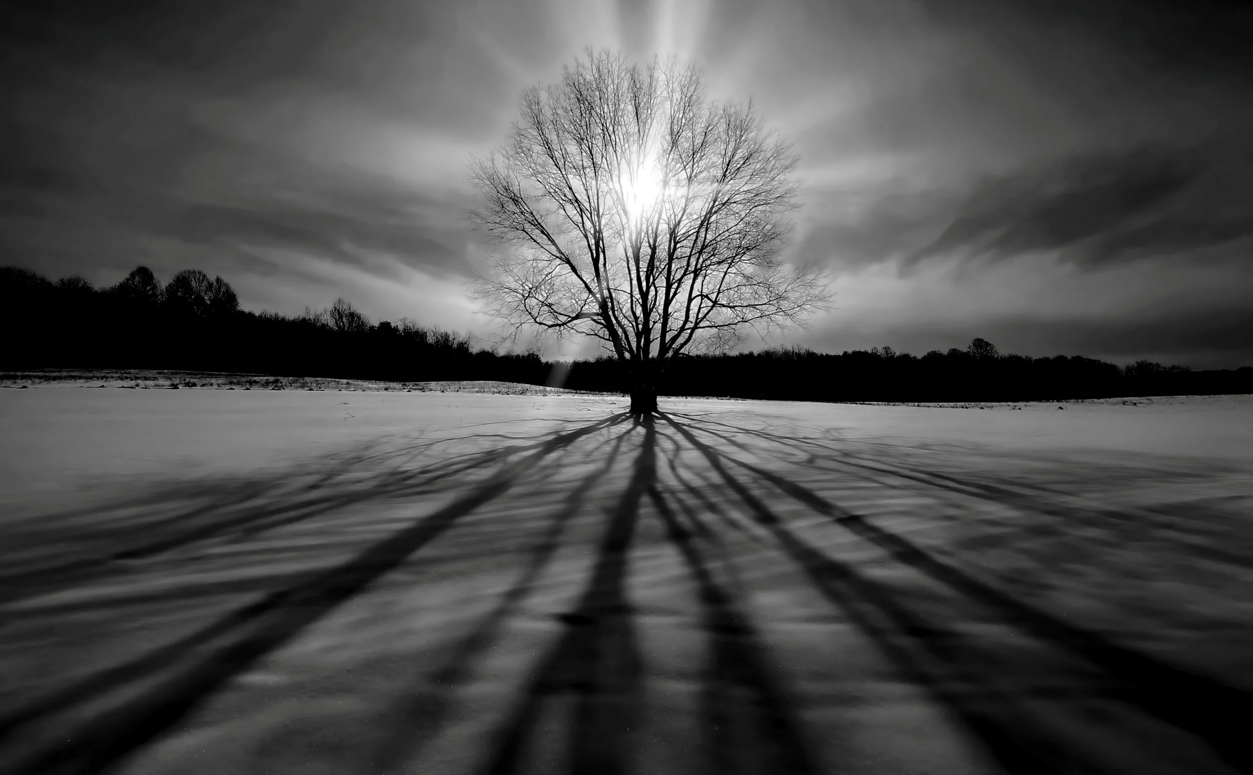Light and Shadows
