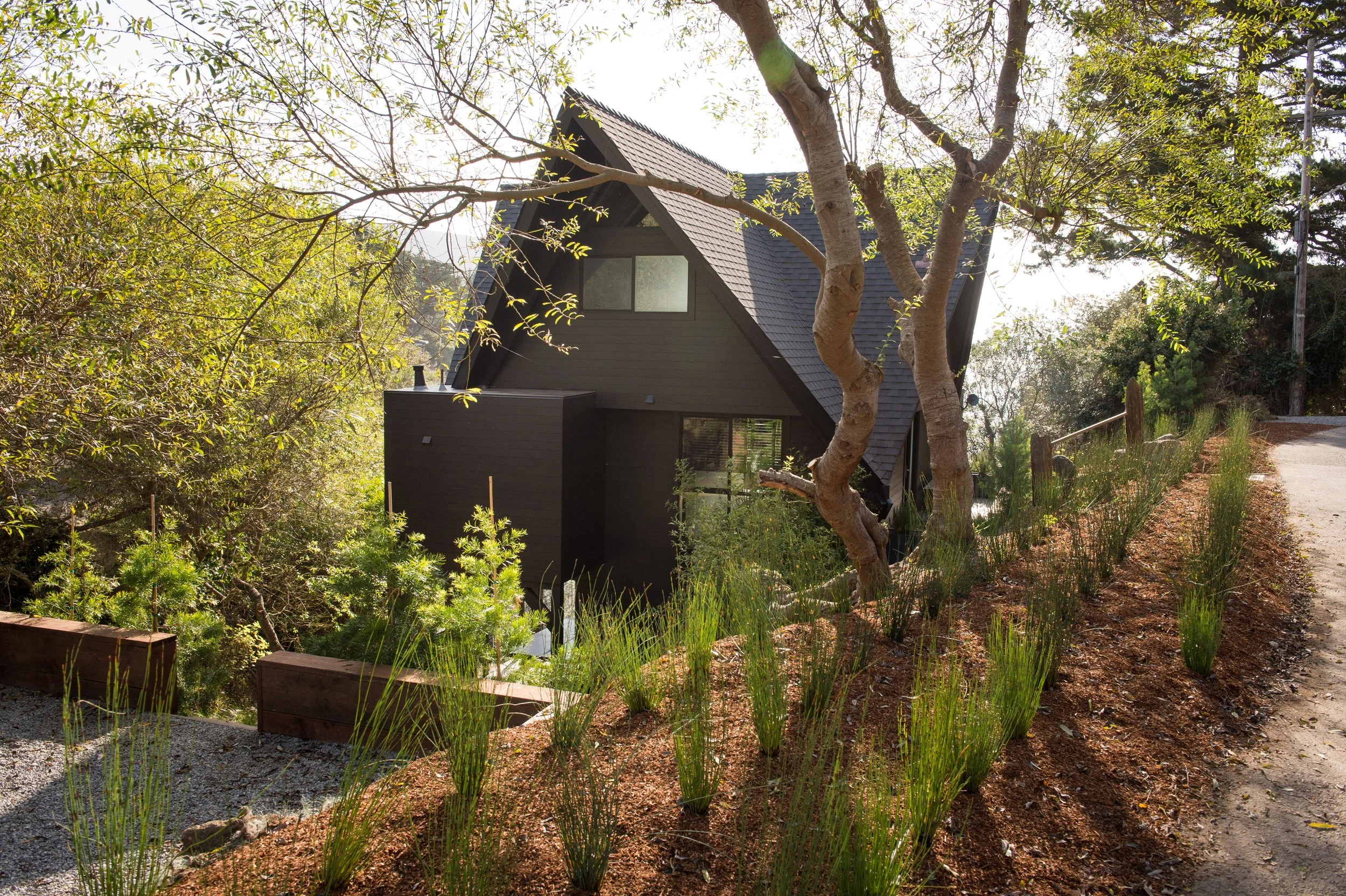 The Muir Beach Project