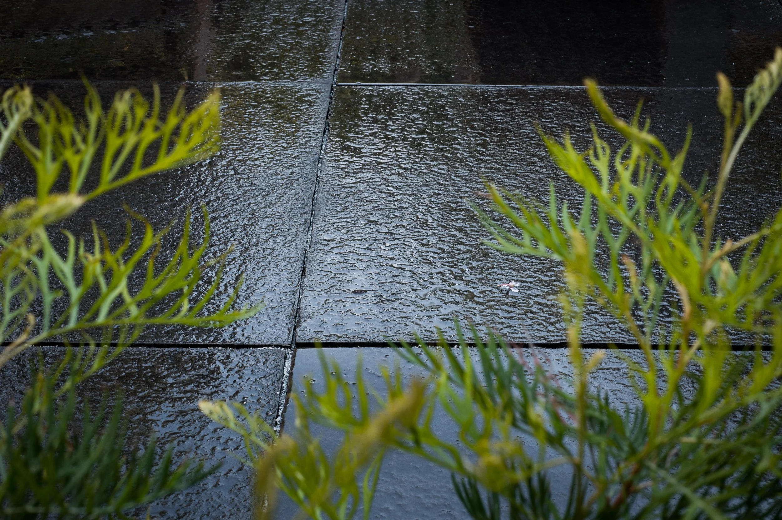 20140910_jbl_527_30thStreet_283.jpg
