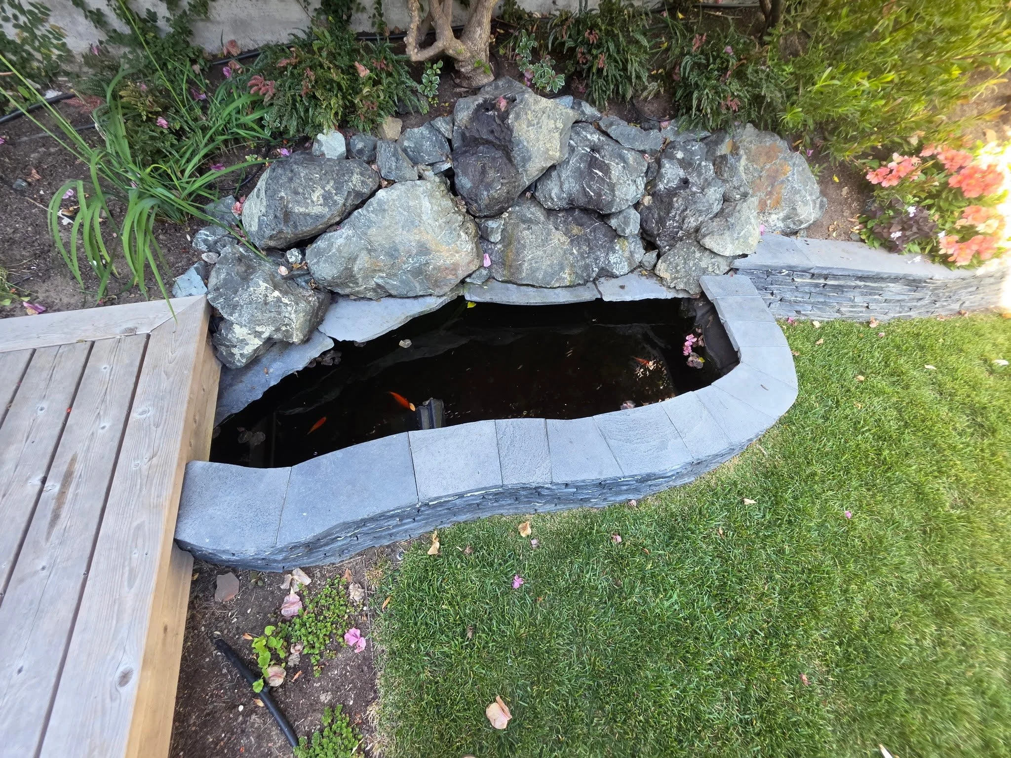 20260526_170712.jpeg
